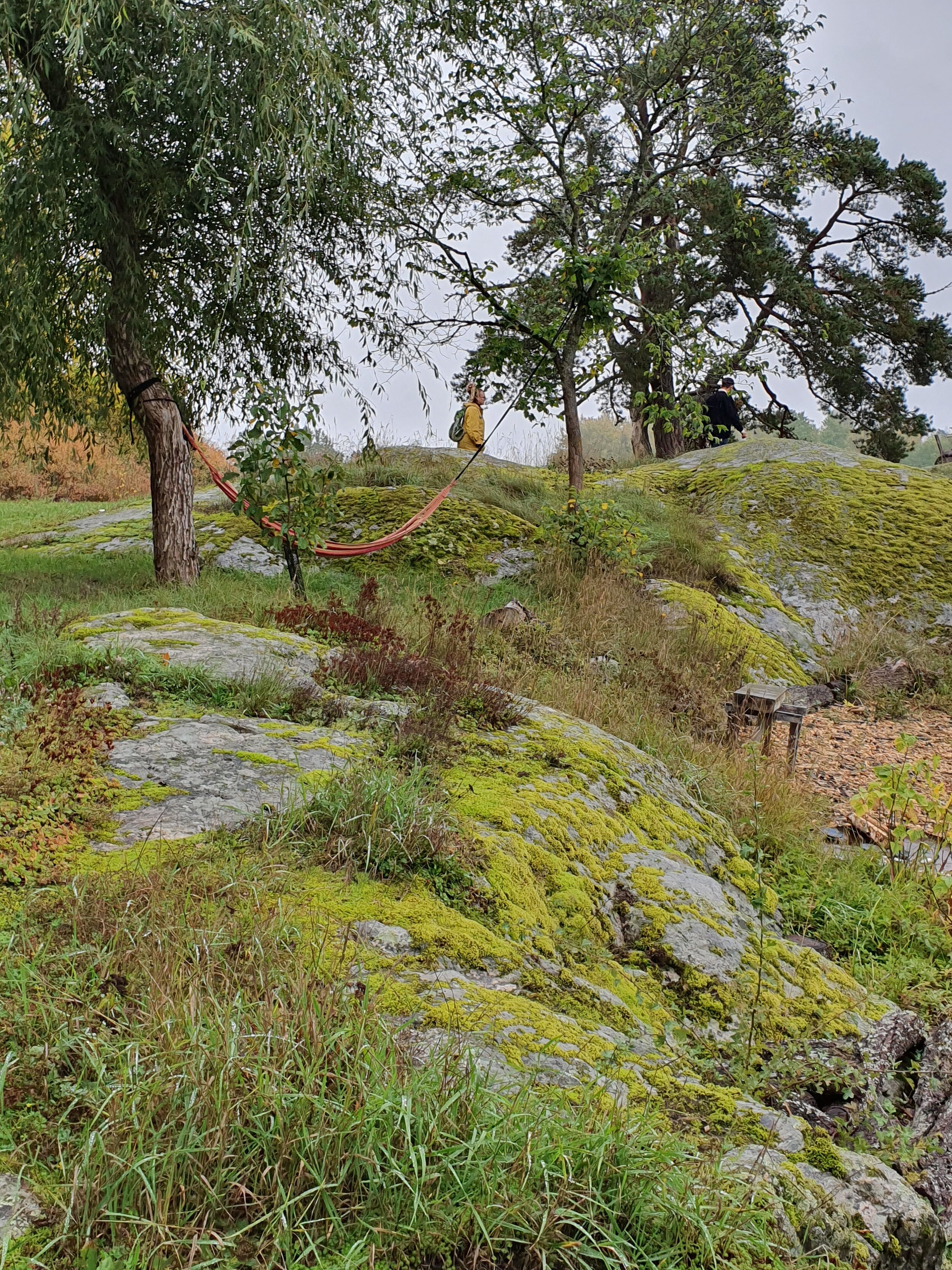 20200929_102657.jpg