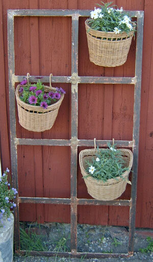 Copy of shabby07-8003_large.jpg