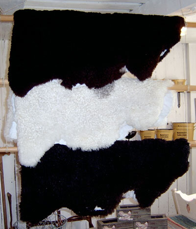 Copy of sund07-6101_large.jpg