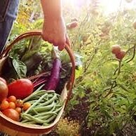 Nätverk & Samarbeten