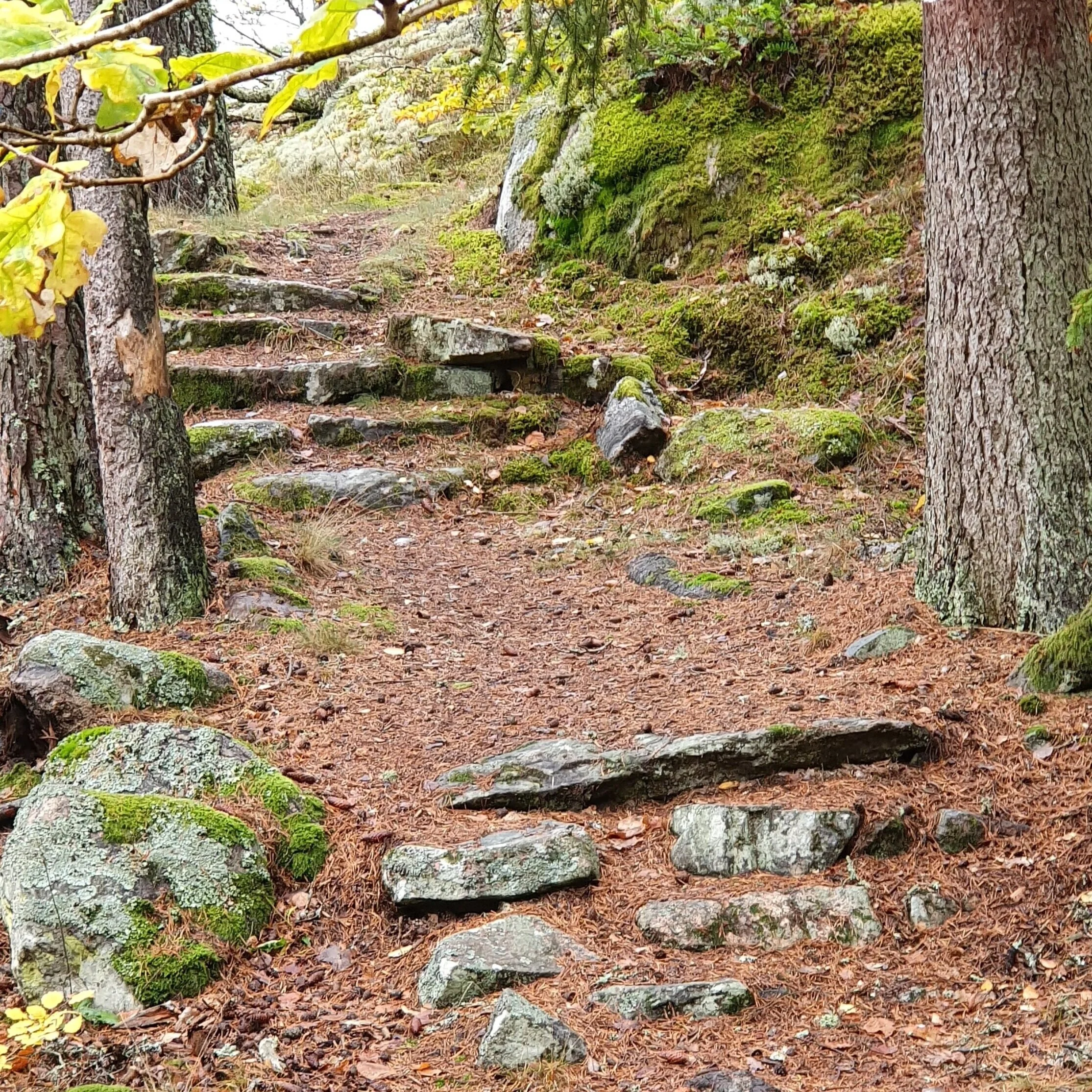 Ledarskap & Motivation