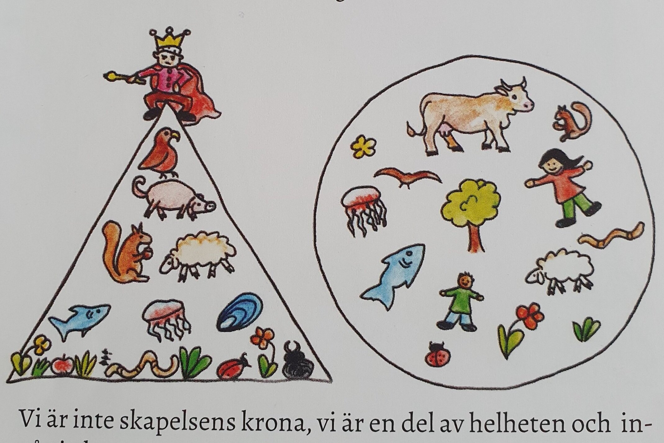 Boken+system.jpg