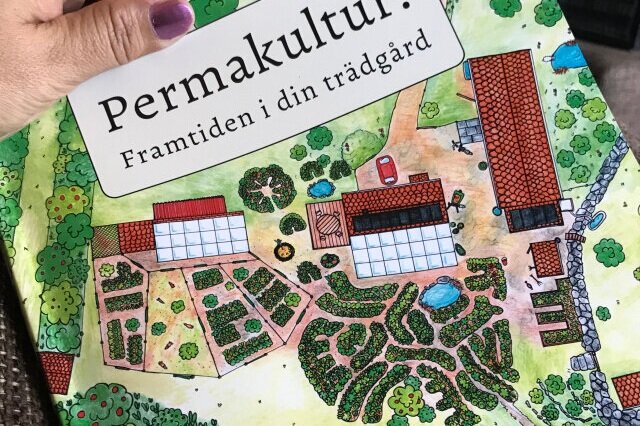 Copy+of+Permakultur2.jpg