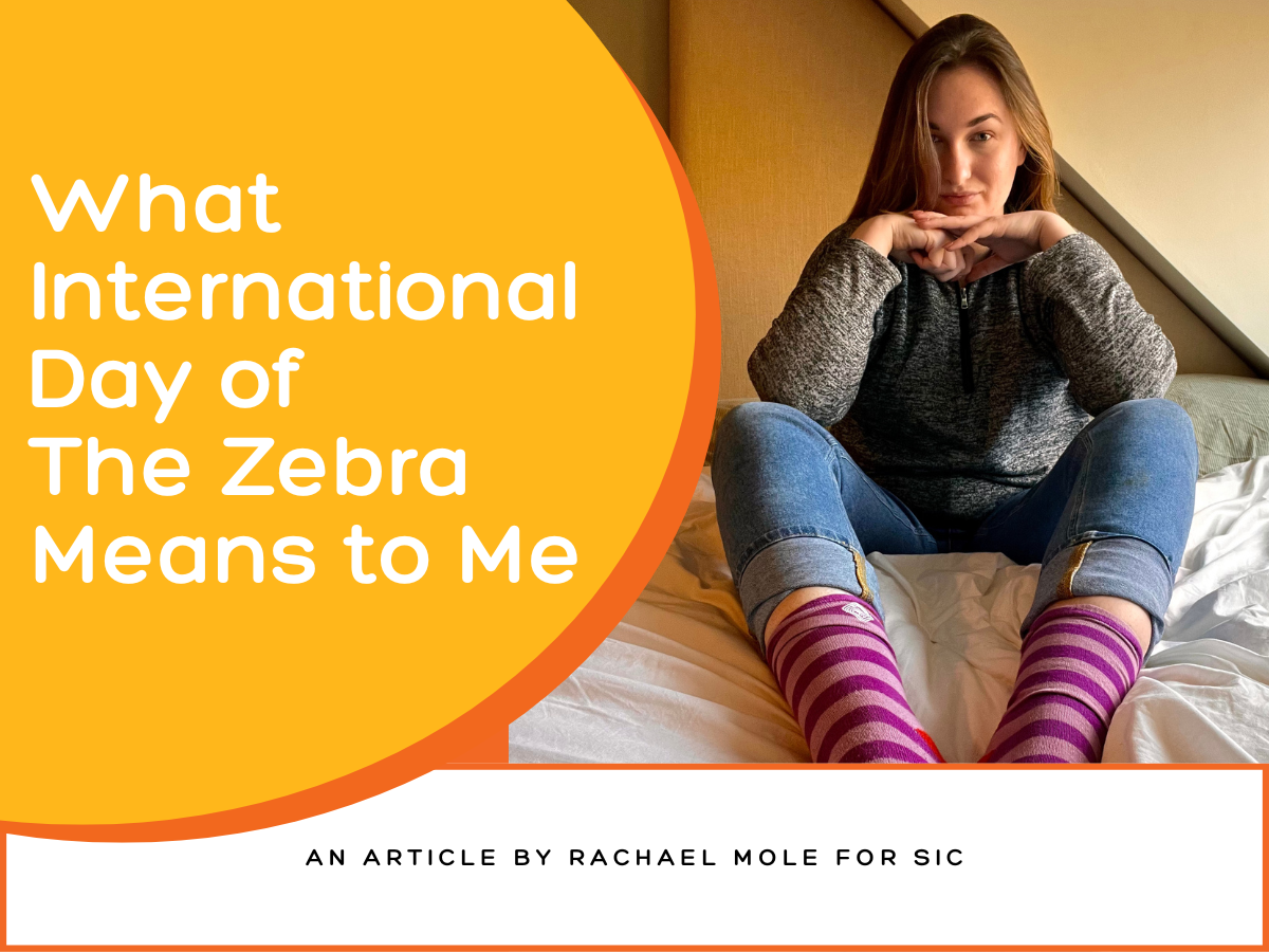 What International Day of The Zebra Means to Me.