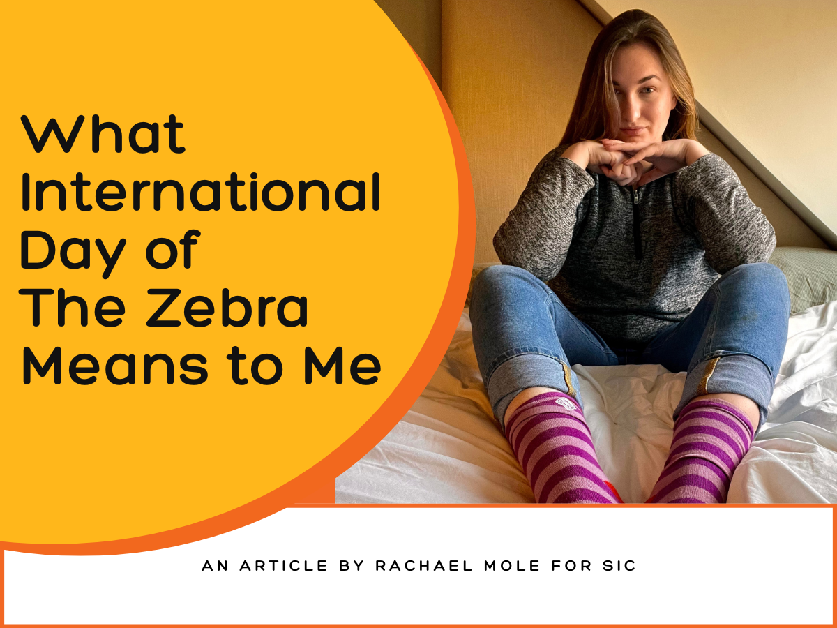 What International Day of The Zebra Means to Me.