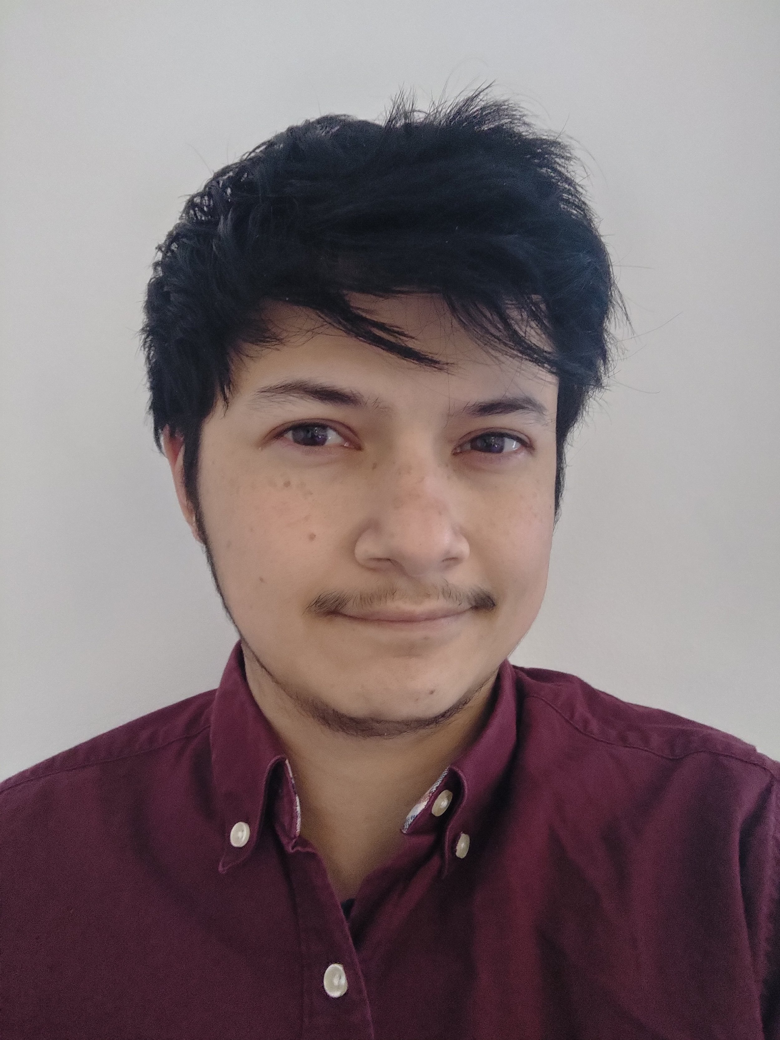 A photo of a person wearing a burgundy shirt with short dark hair in front of a white background.
