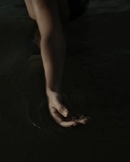 Gallery - Image 36.jpg