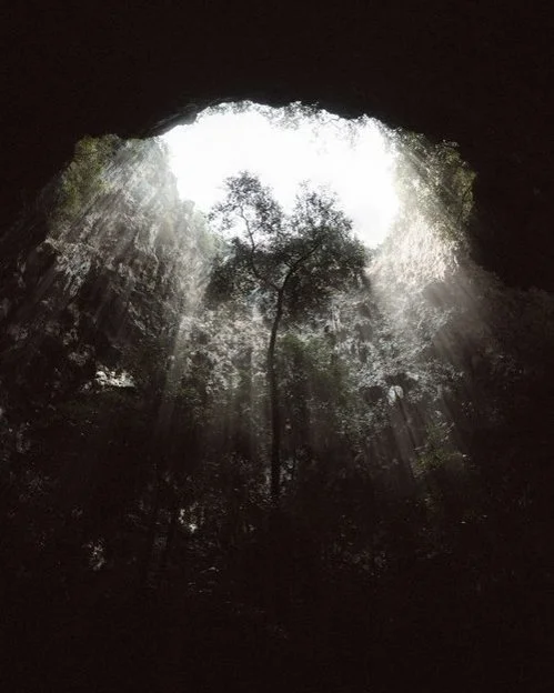 Gallery - Image 11.jpg