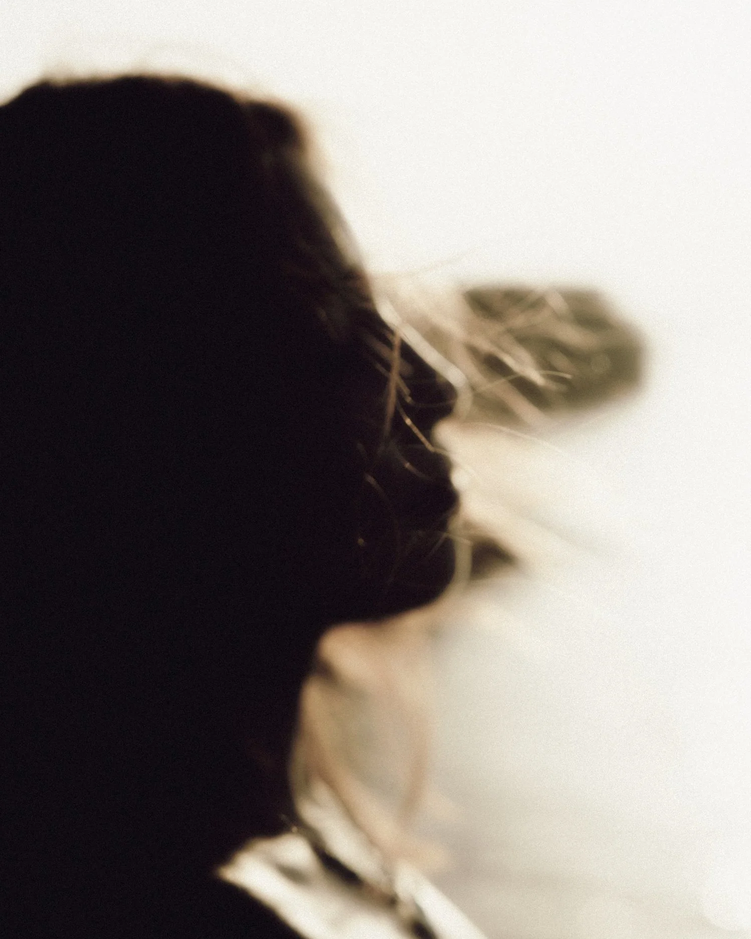 Gallery - Image 31.jpg