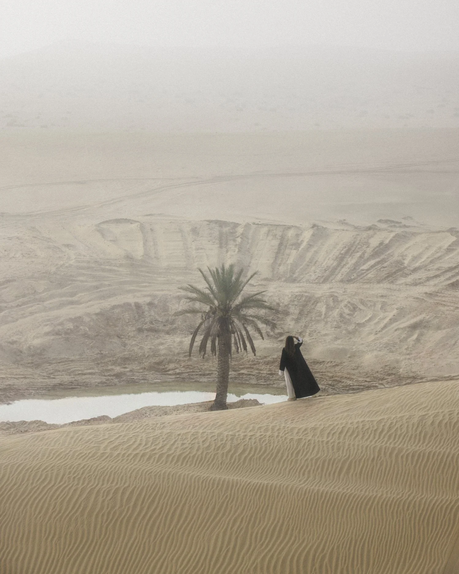 Gallery - Image 30.jpg