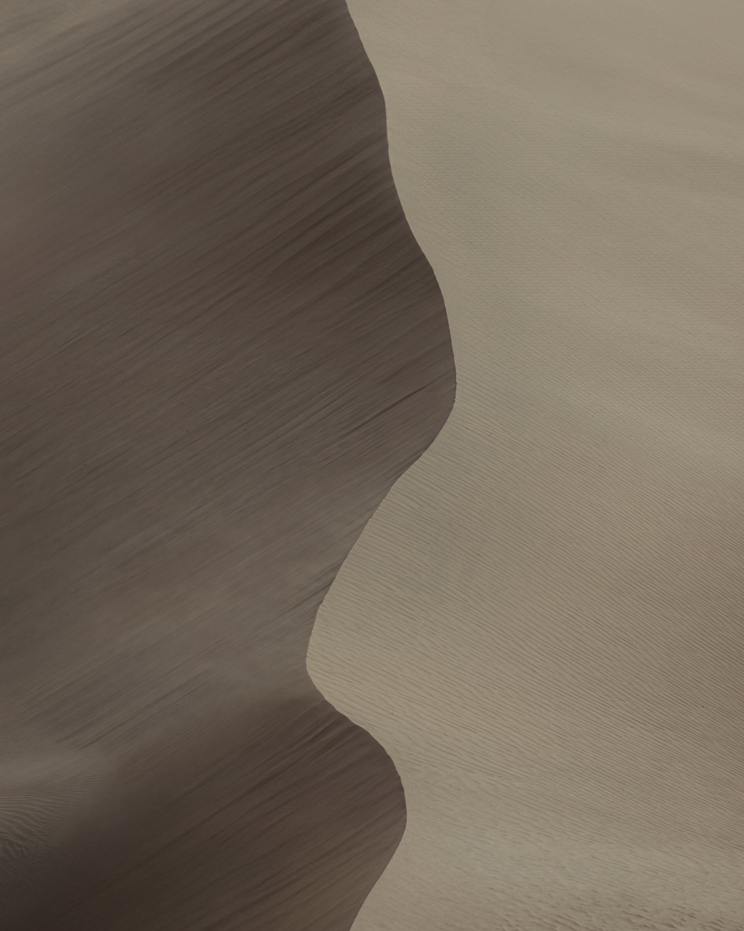 Gallery - Image 29.jpg