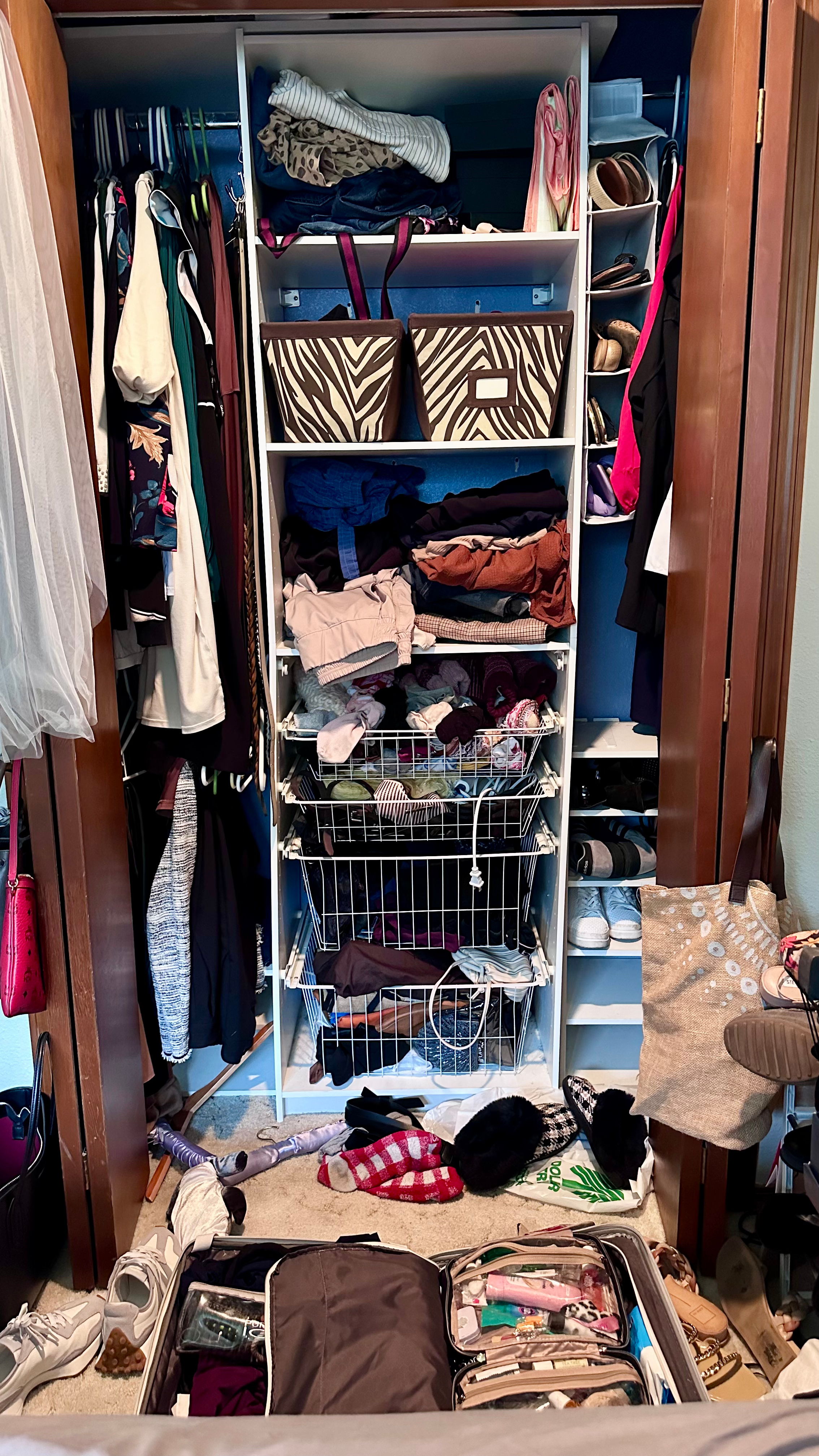 Before: Dressing Room Closet