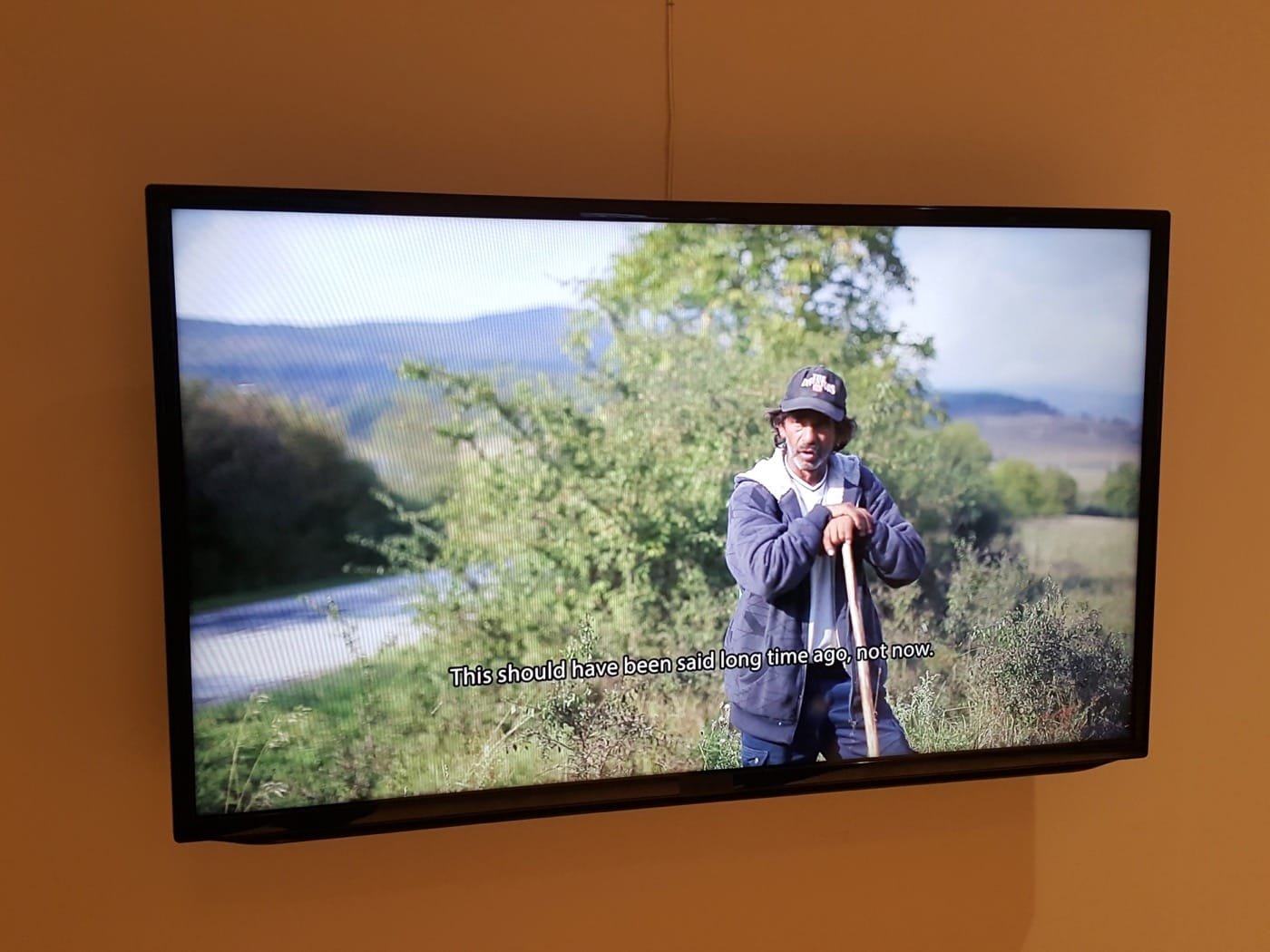 An Artist Examines the Rise of New European Nationalism