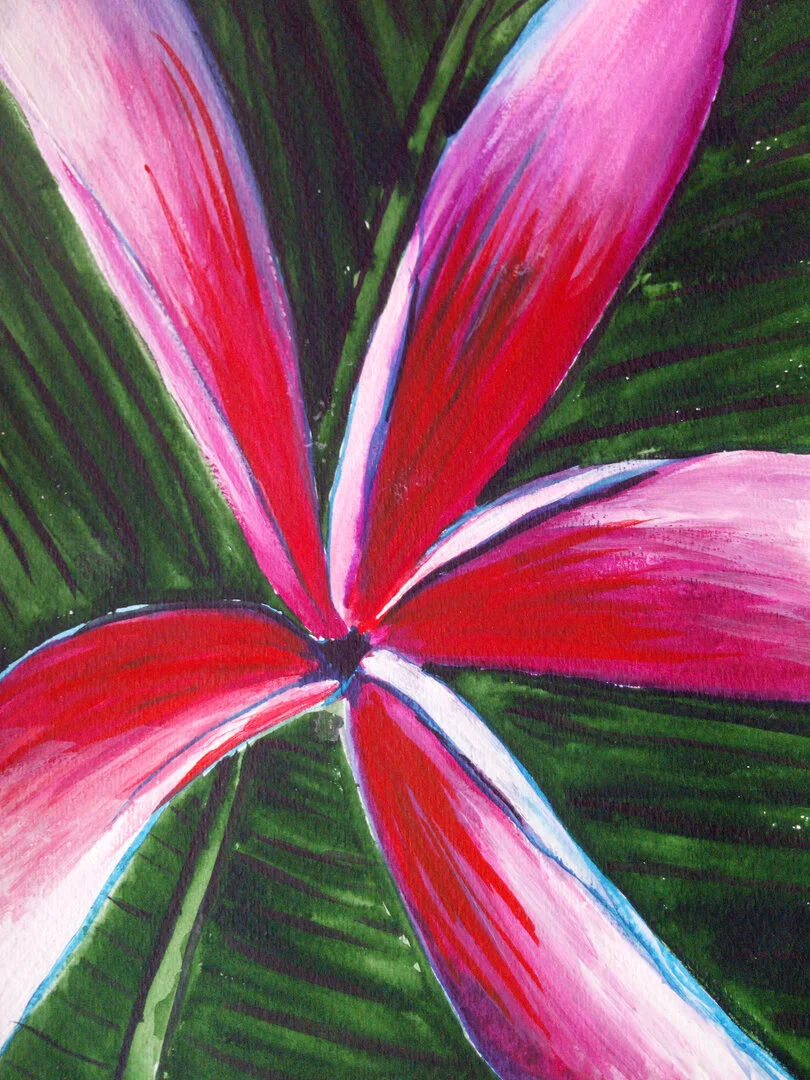 FLOWER STUDY WATERCOLOUR STAR.jpg
