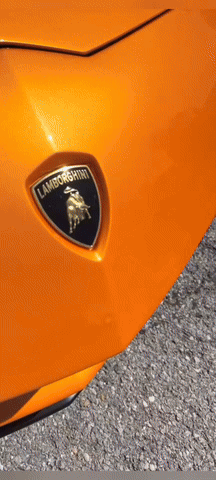 lambovidwithsong7-ezgif.com-video-to-gif-converter.gif