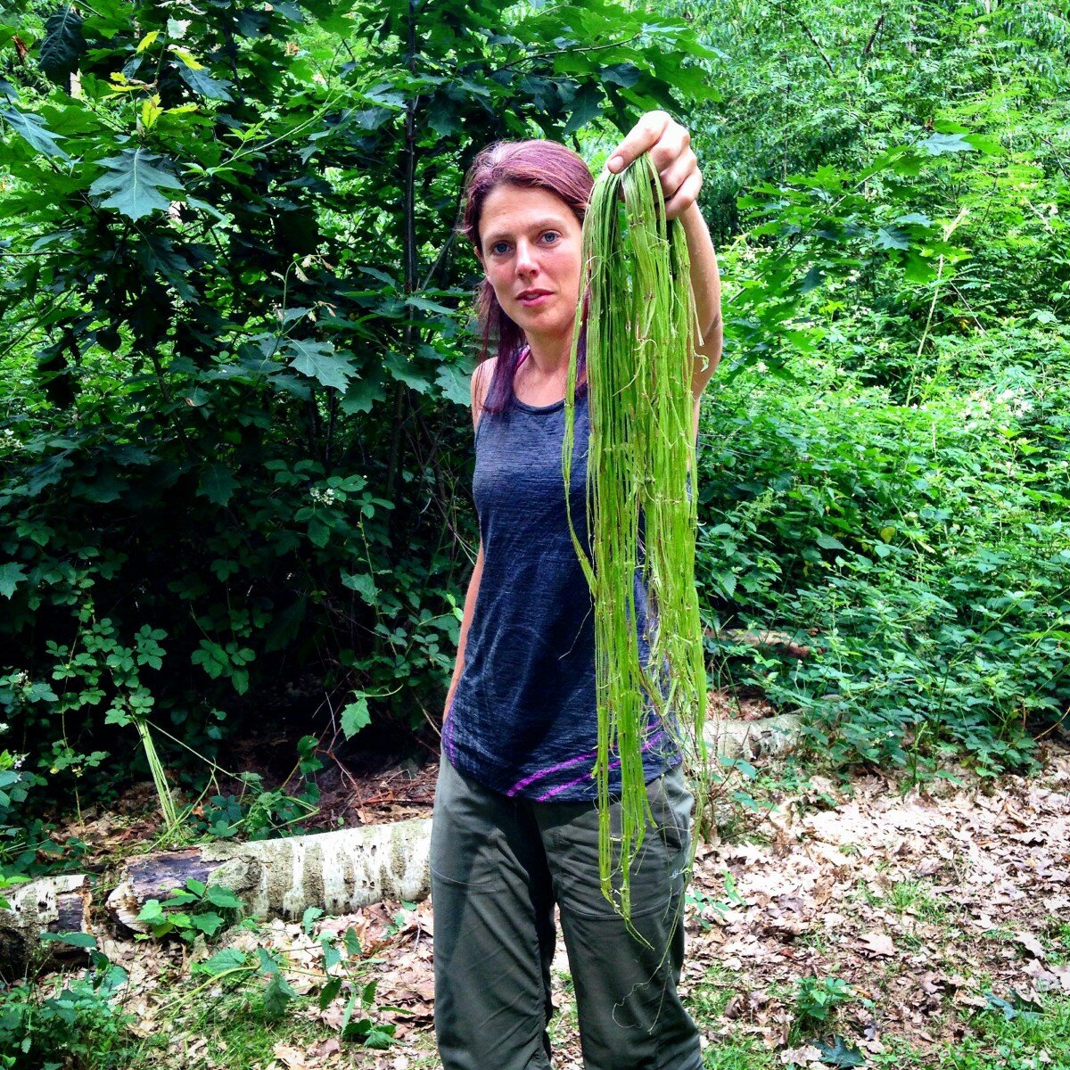 Feel the burn, Nettle Cordage making