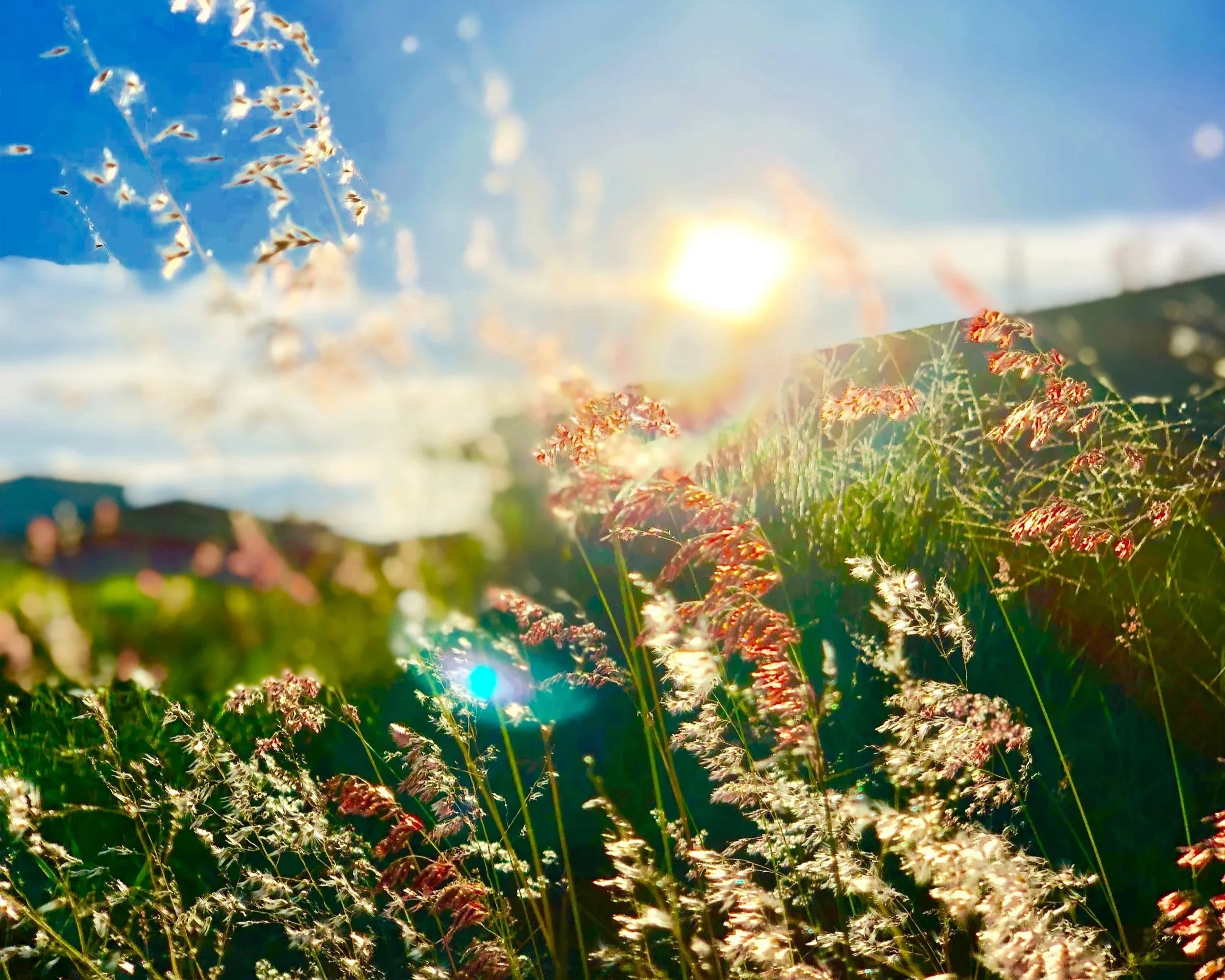 4 Ways to Celebrate and Honour the Autumn Equinox