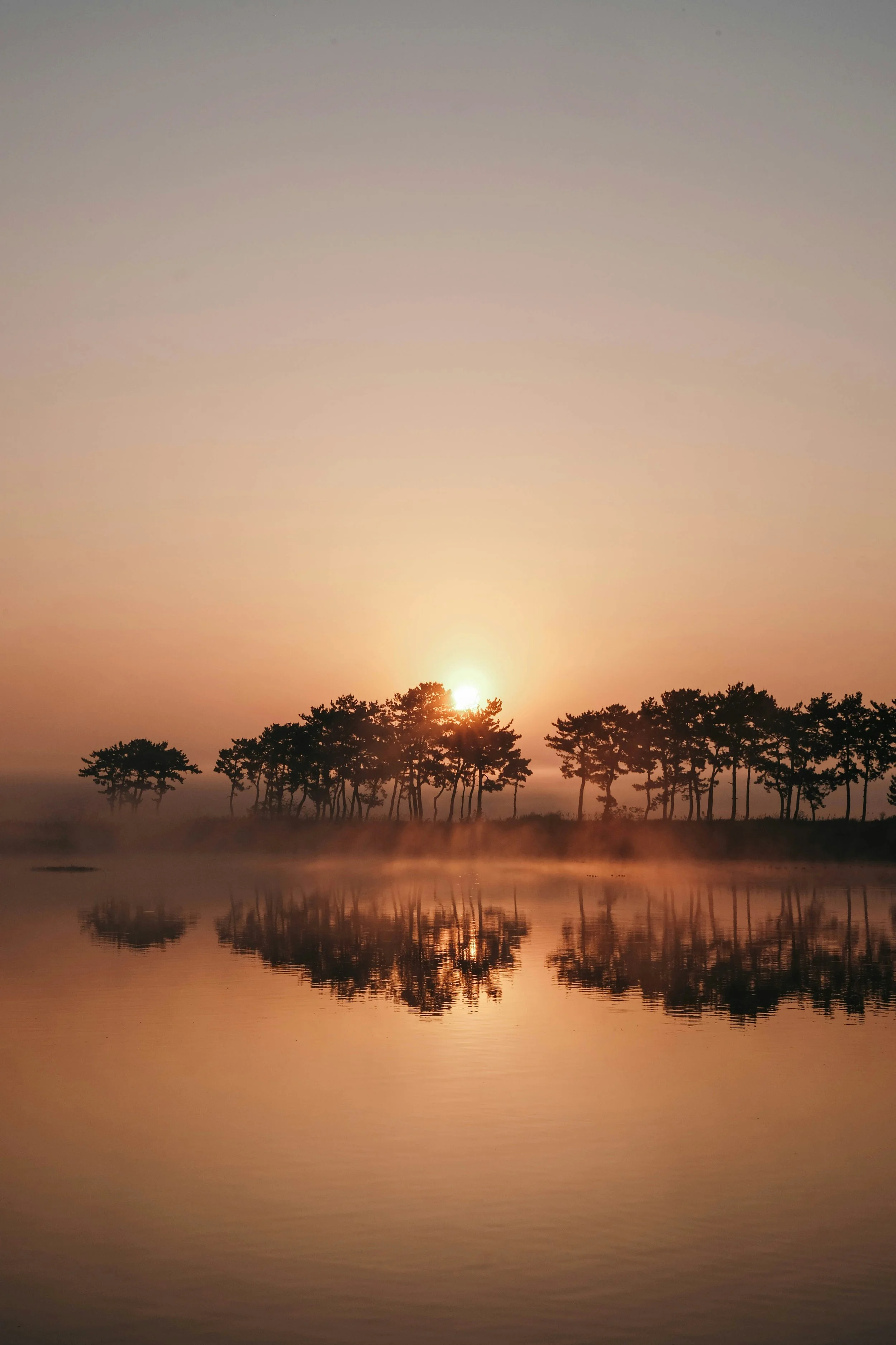 4 Ways to Honour and Embrace the Winter Solstice