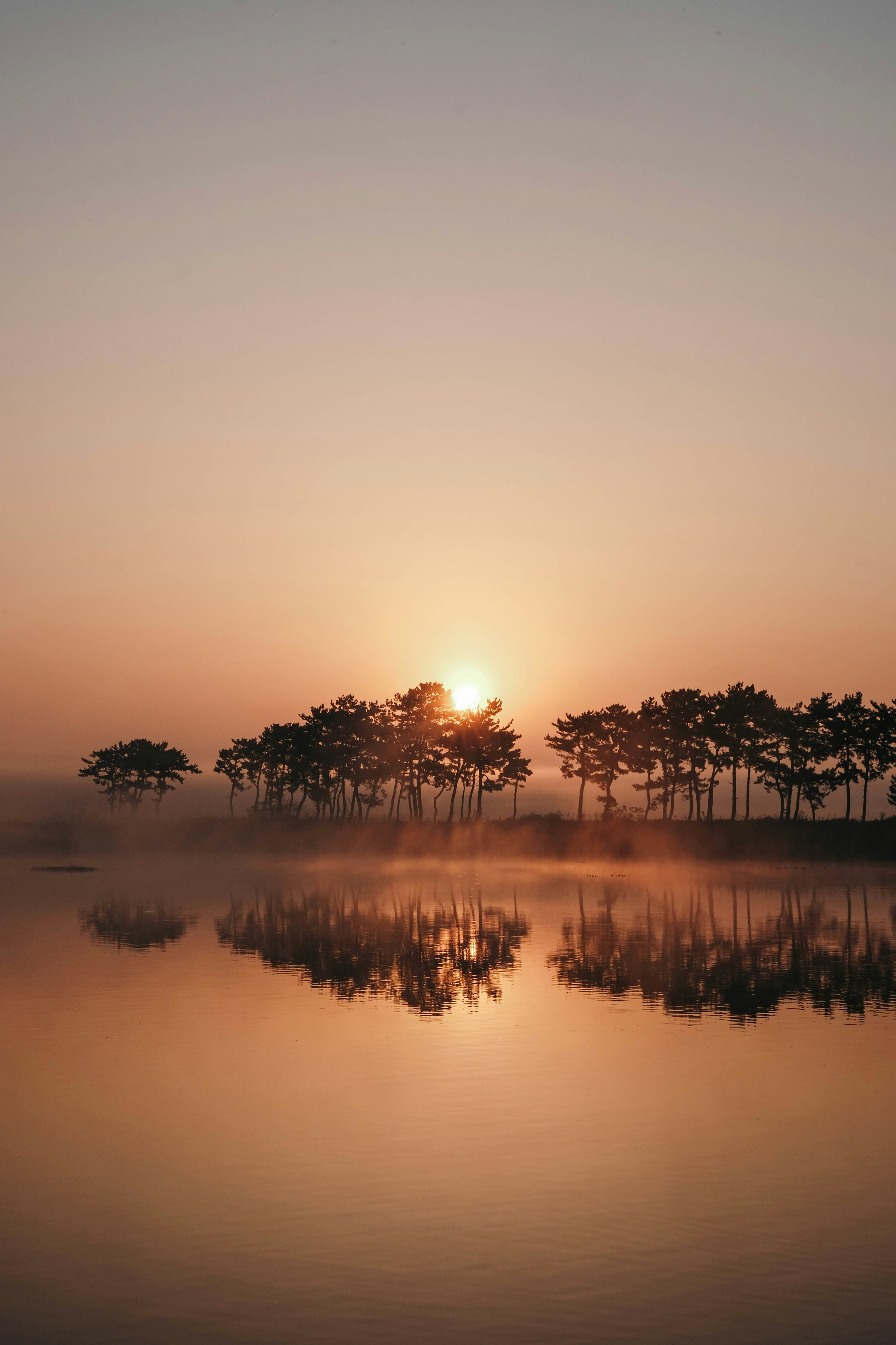 winter_solstice