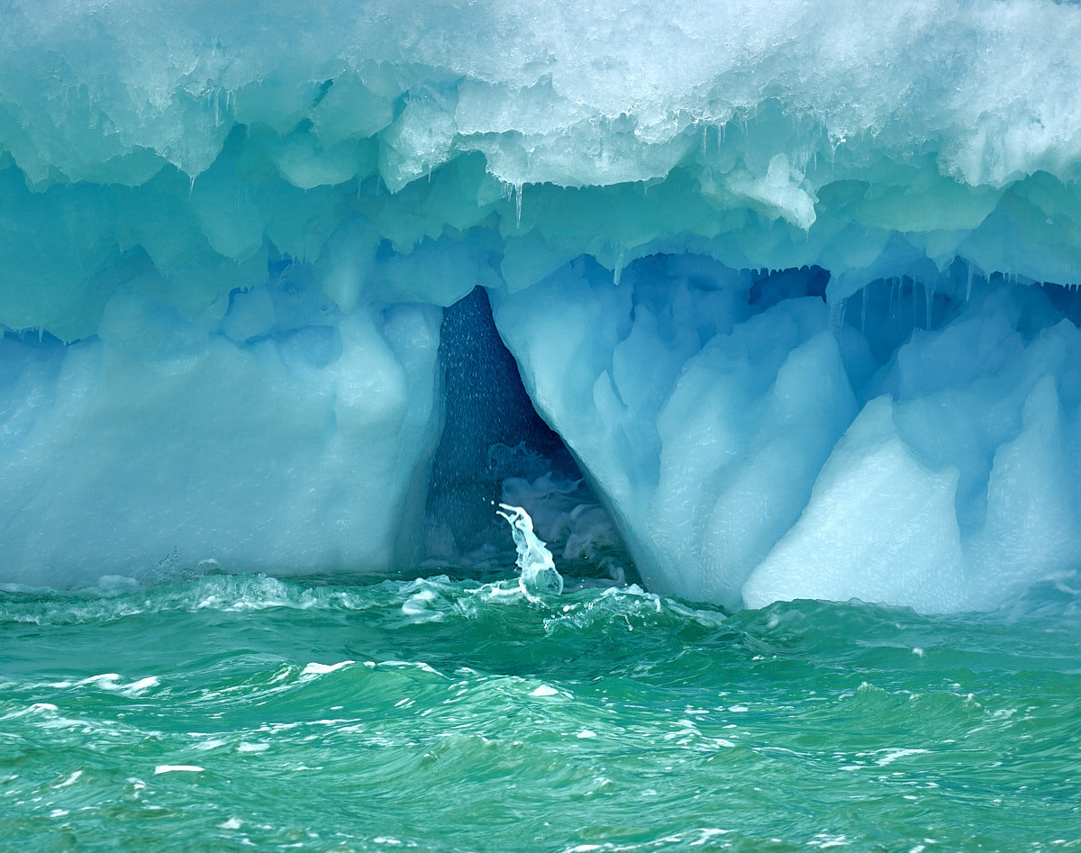 GREEN WATER -- PHYTOPLANKTON