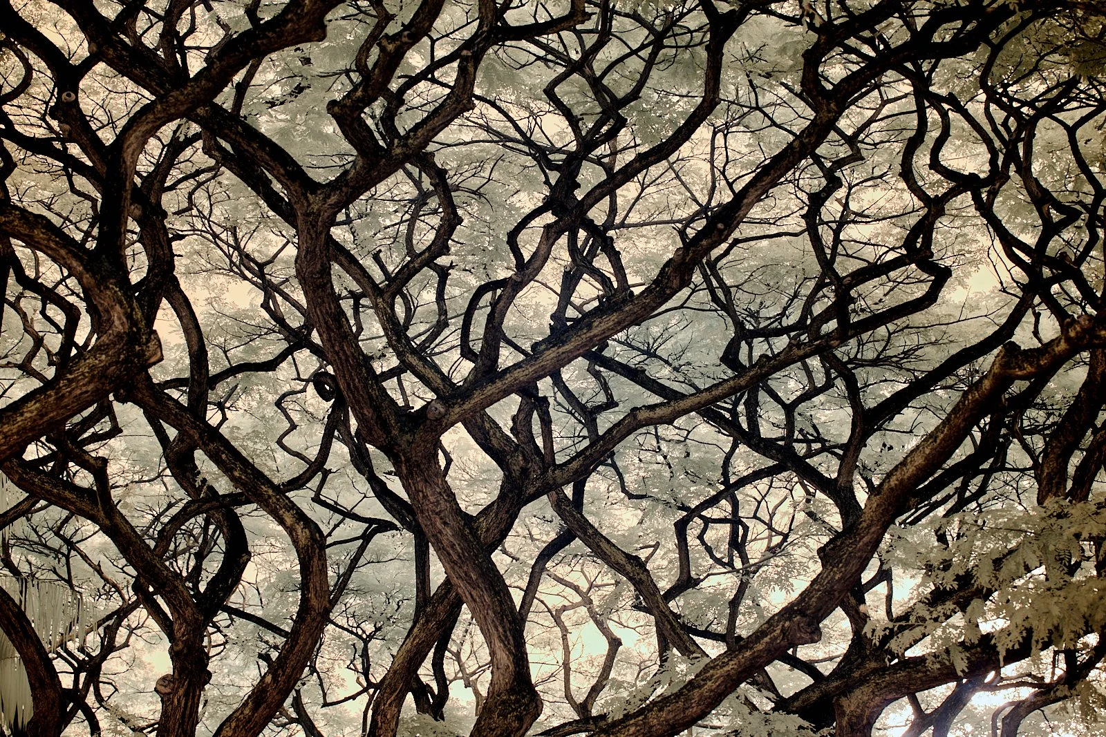 A Crowd on the Dance Floor