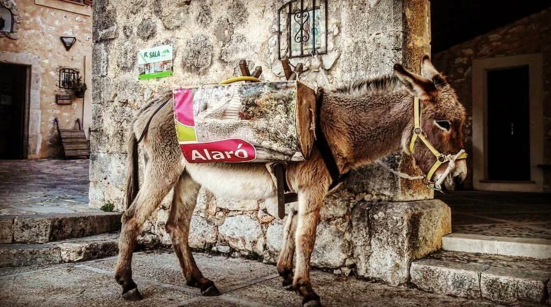  Peopletree Mallorca | Kundalini Yoga and Gong Meditation Retreat | Mallorca Donkey / Alaro / Mallorca Studio / Peopletree Studios / Villa Rental Mallorca 