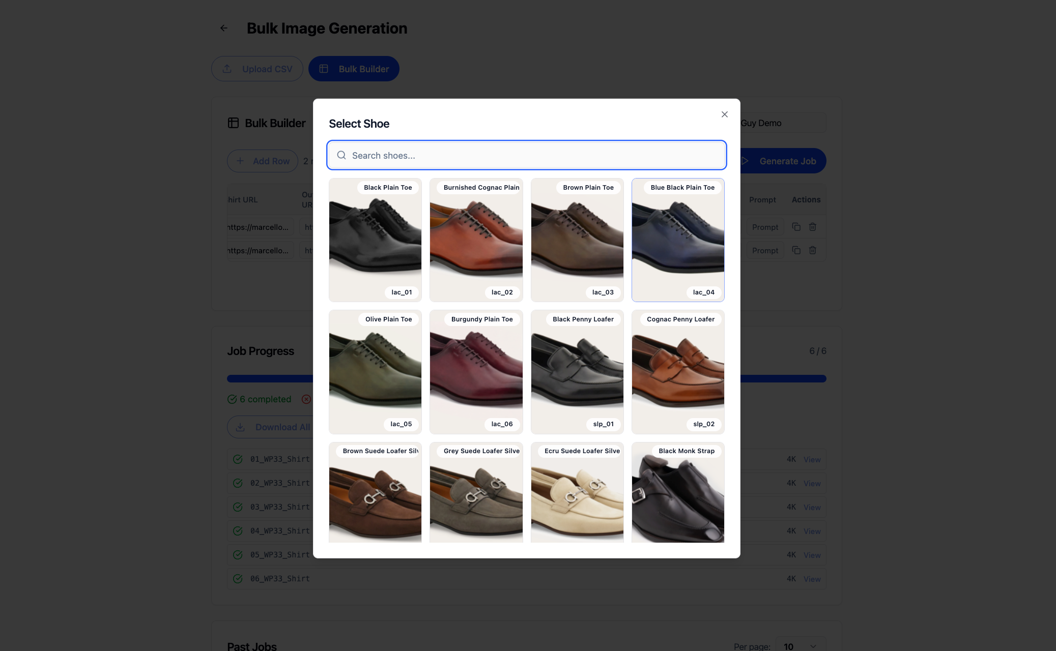 28_Choose_Shoe.png