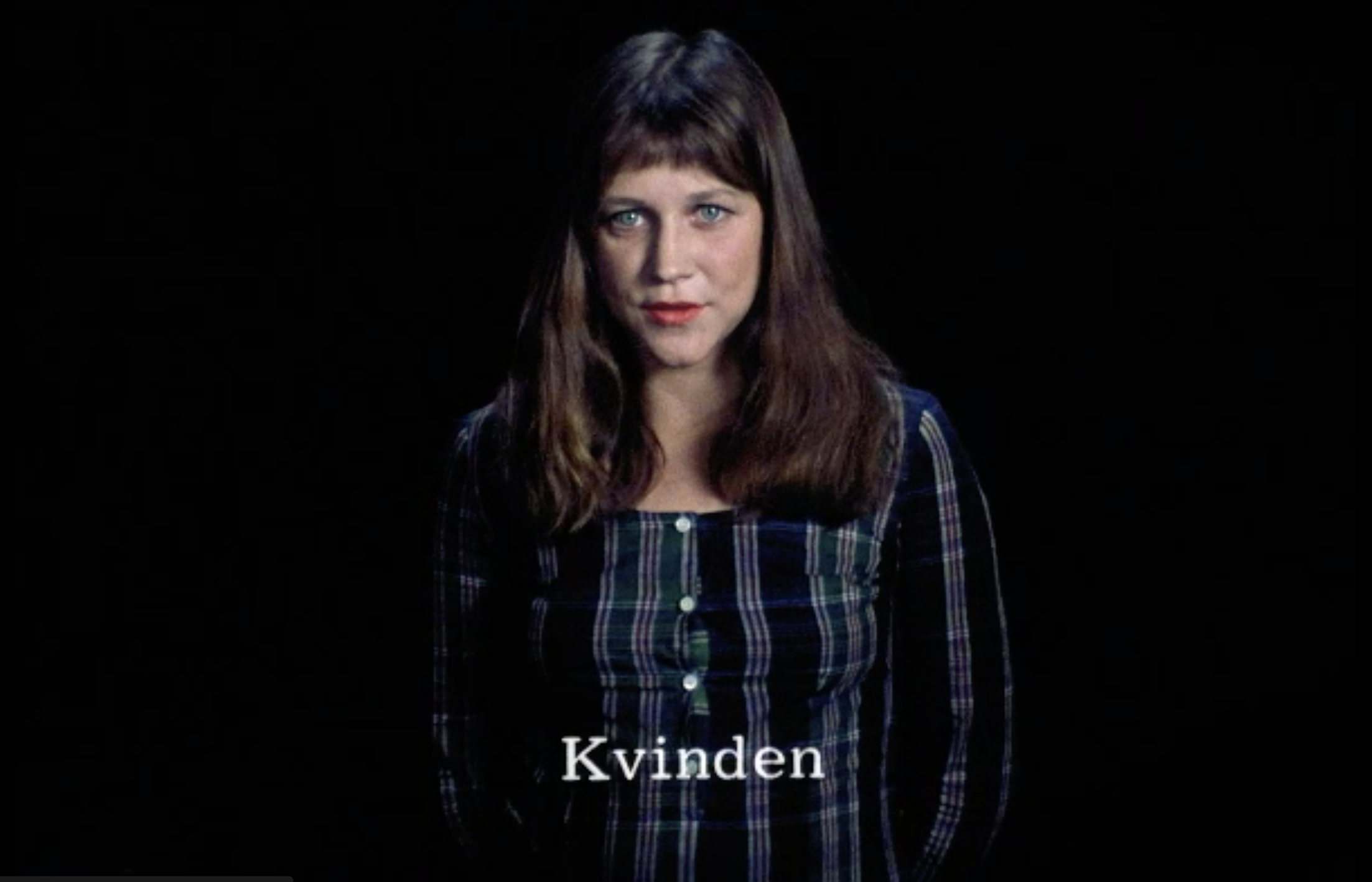 Livet i Danmark40.png
