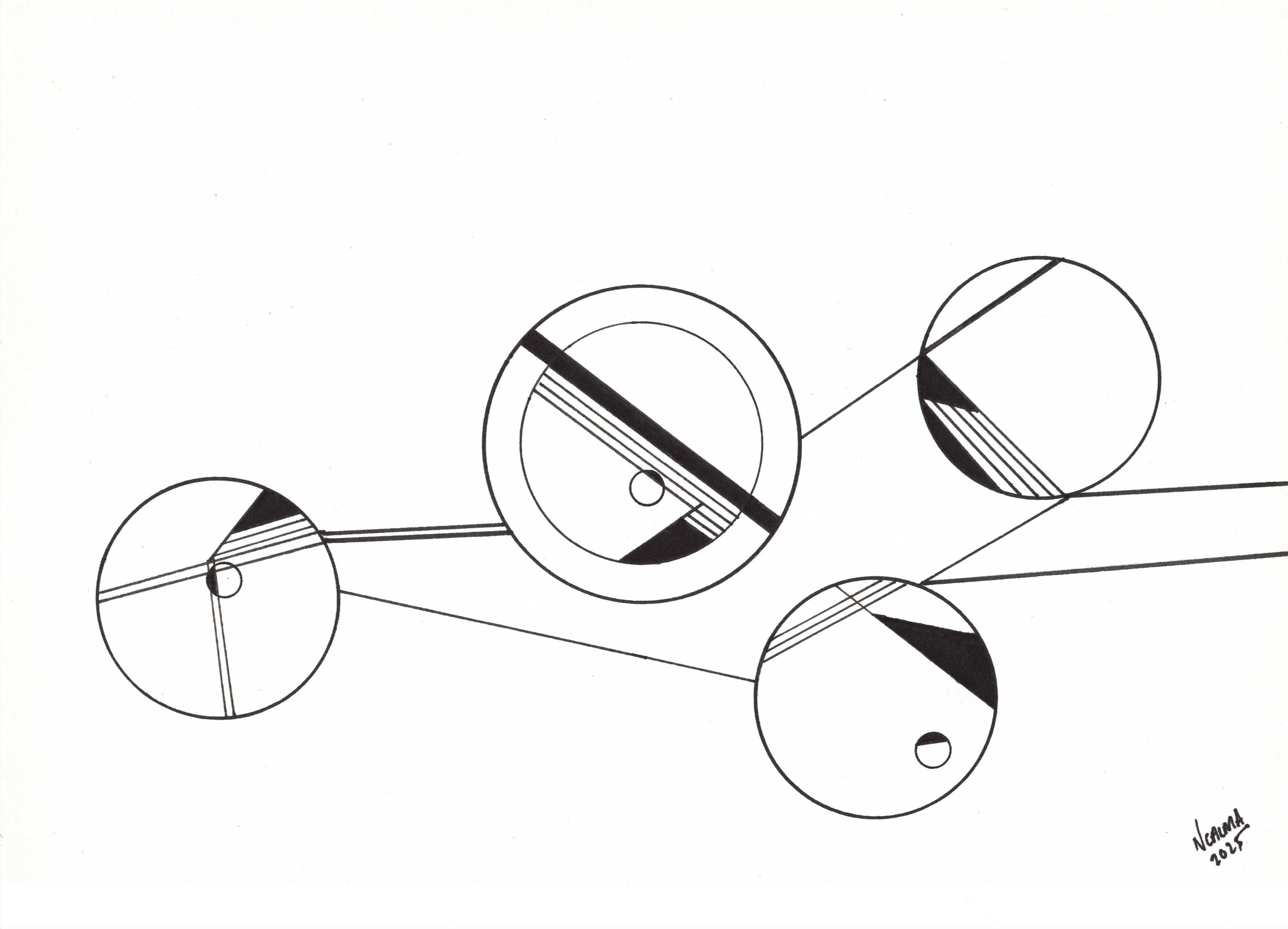neurocircuitry 1.png