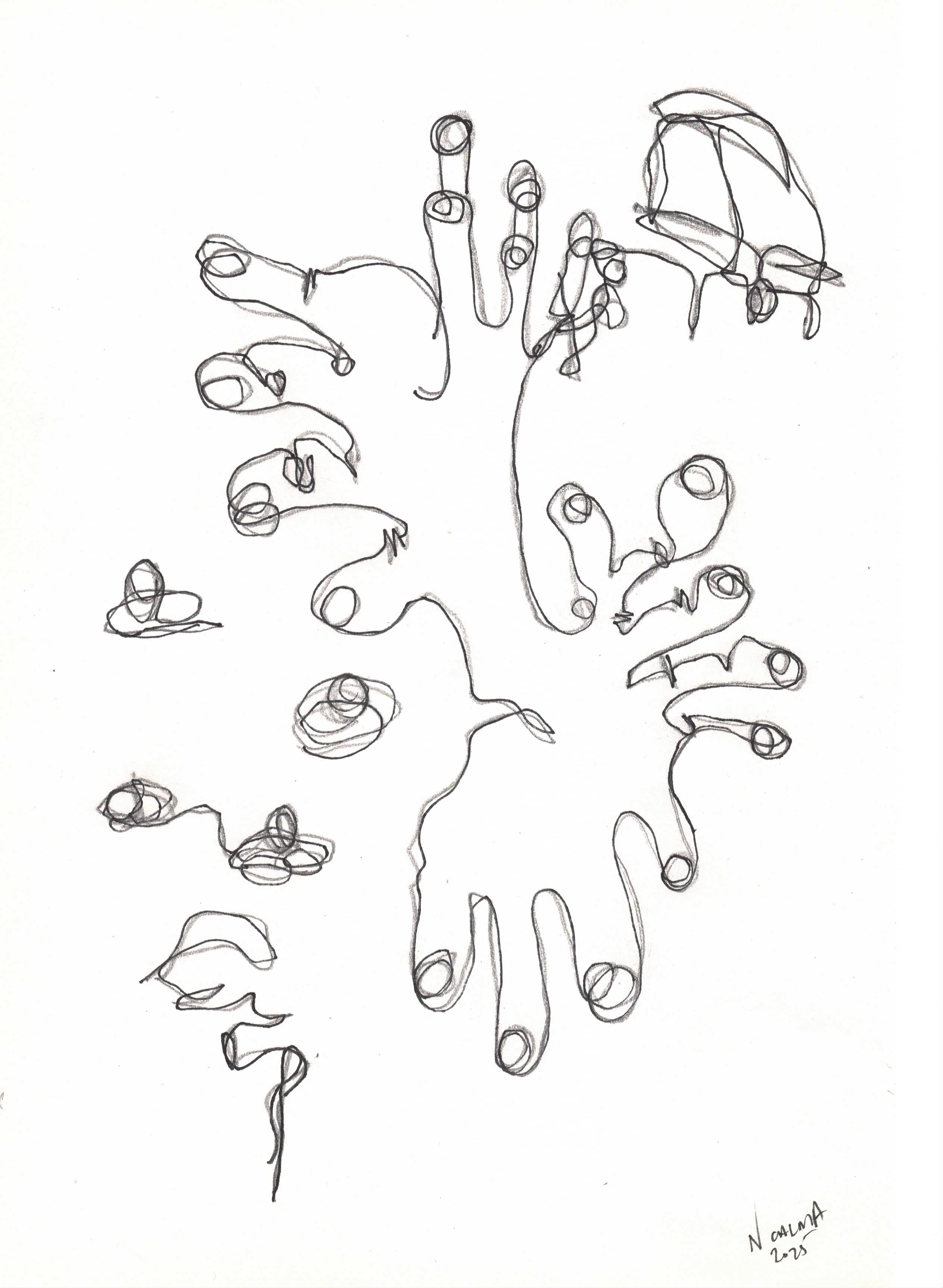 tactile.png