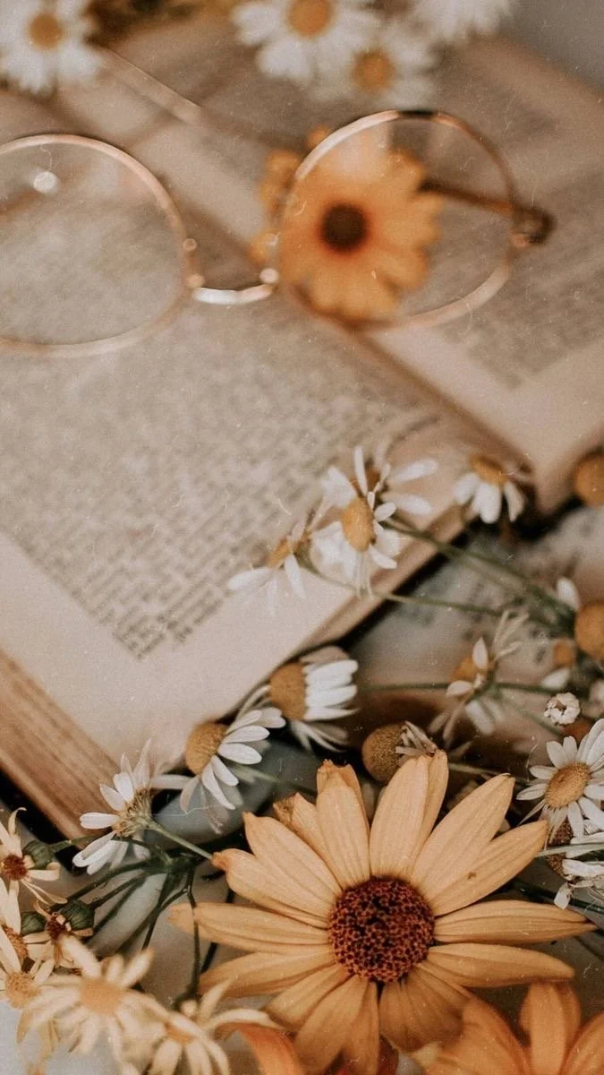 Pricing With Integrity: The Conversation Doulas Avoid (and Why We Can’t Anymore)