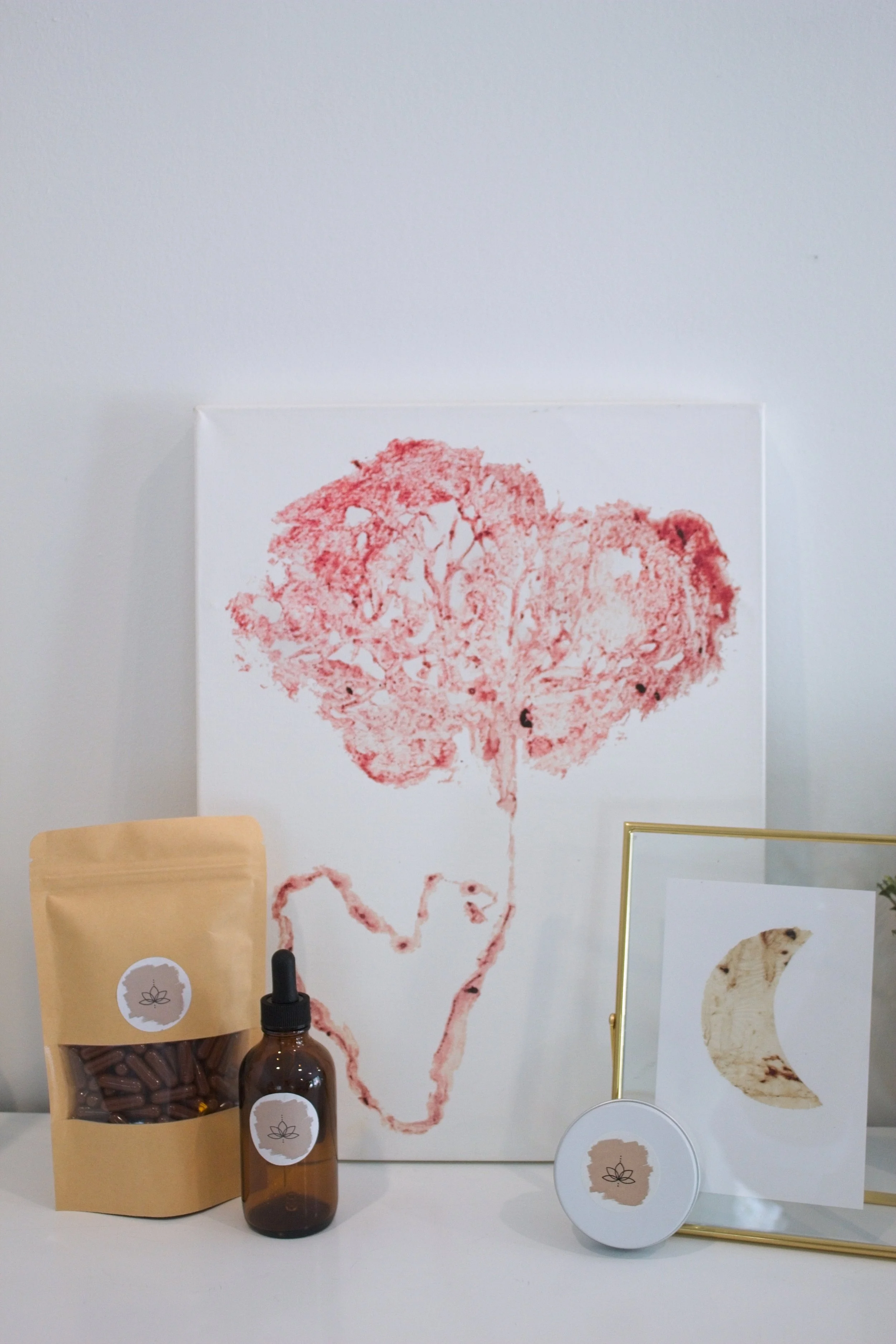 Decorative placenta-themed art and products.
