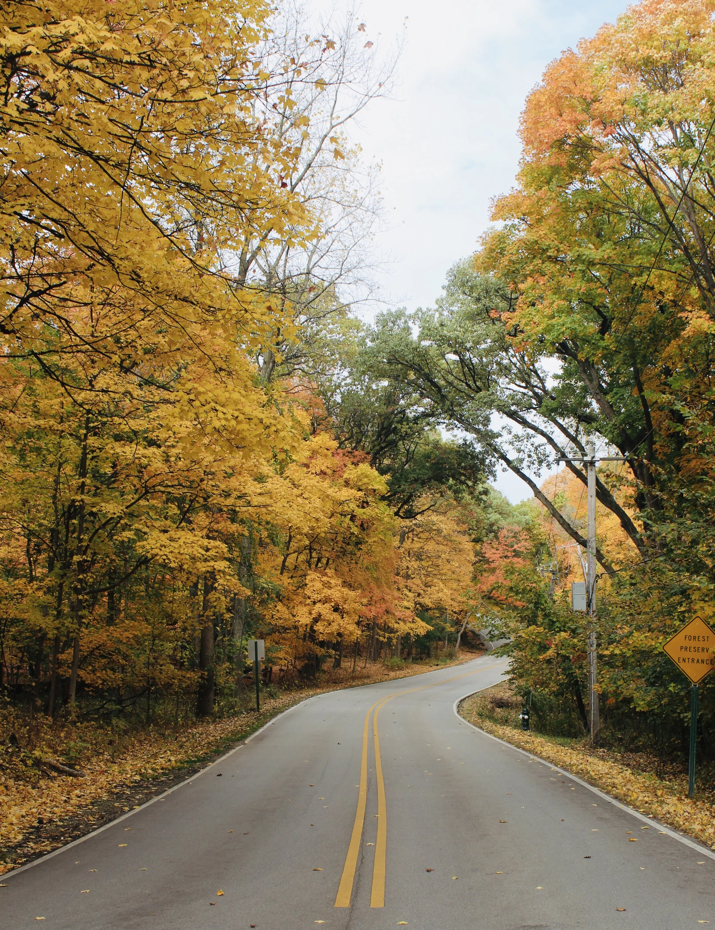road1.jpg