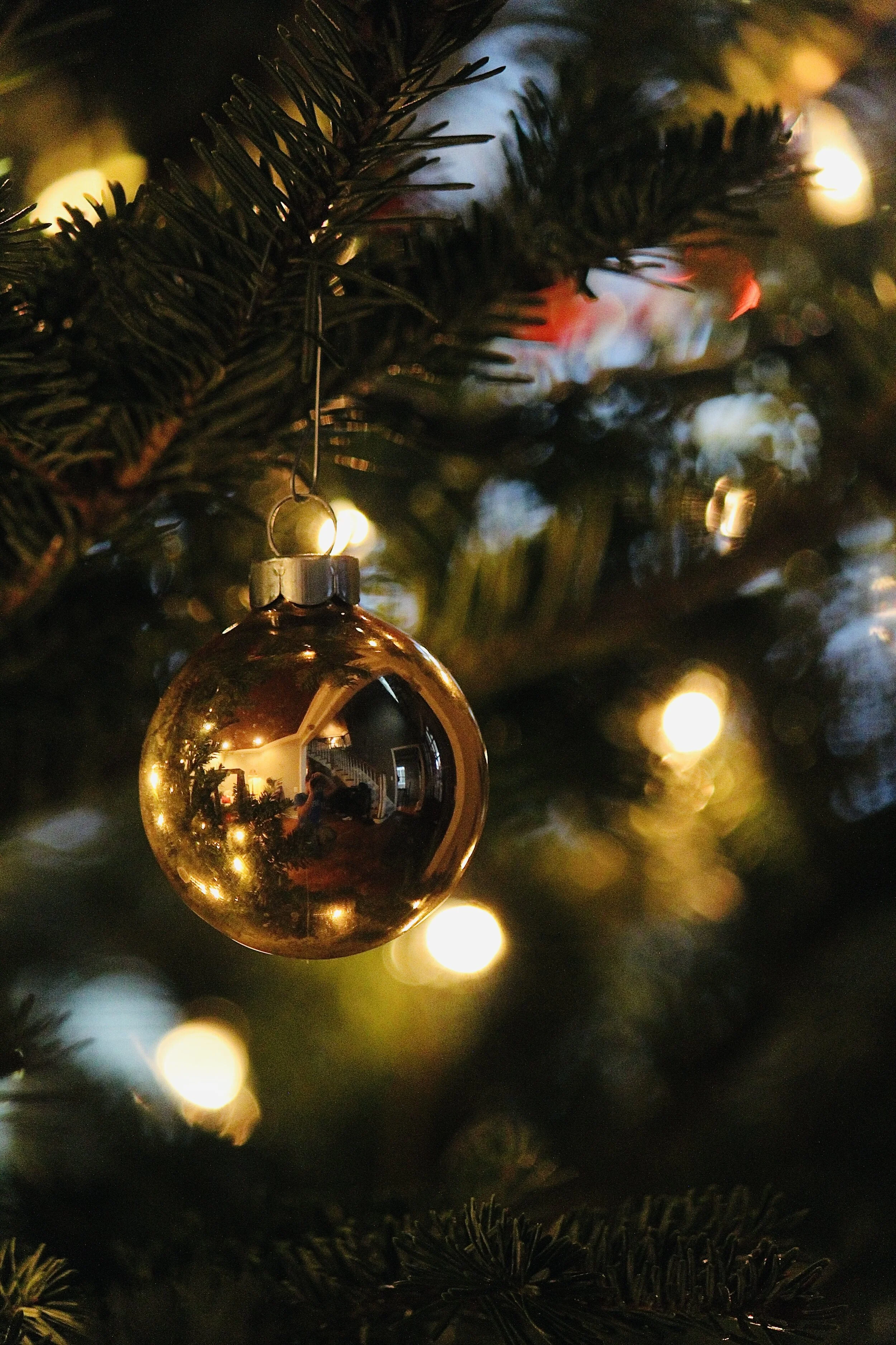 christmas tree.jpg