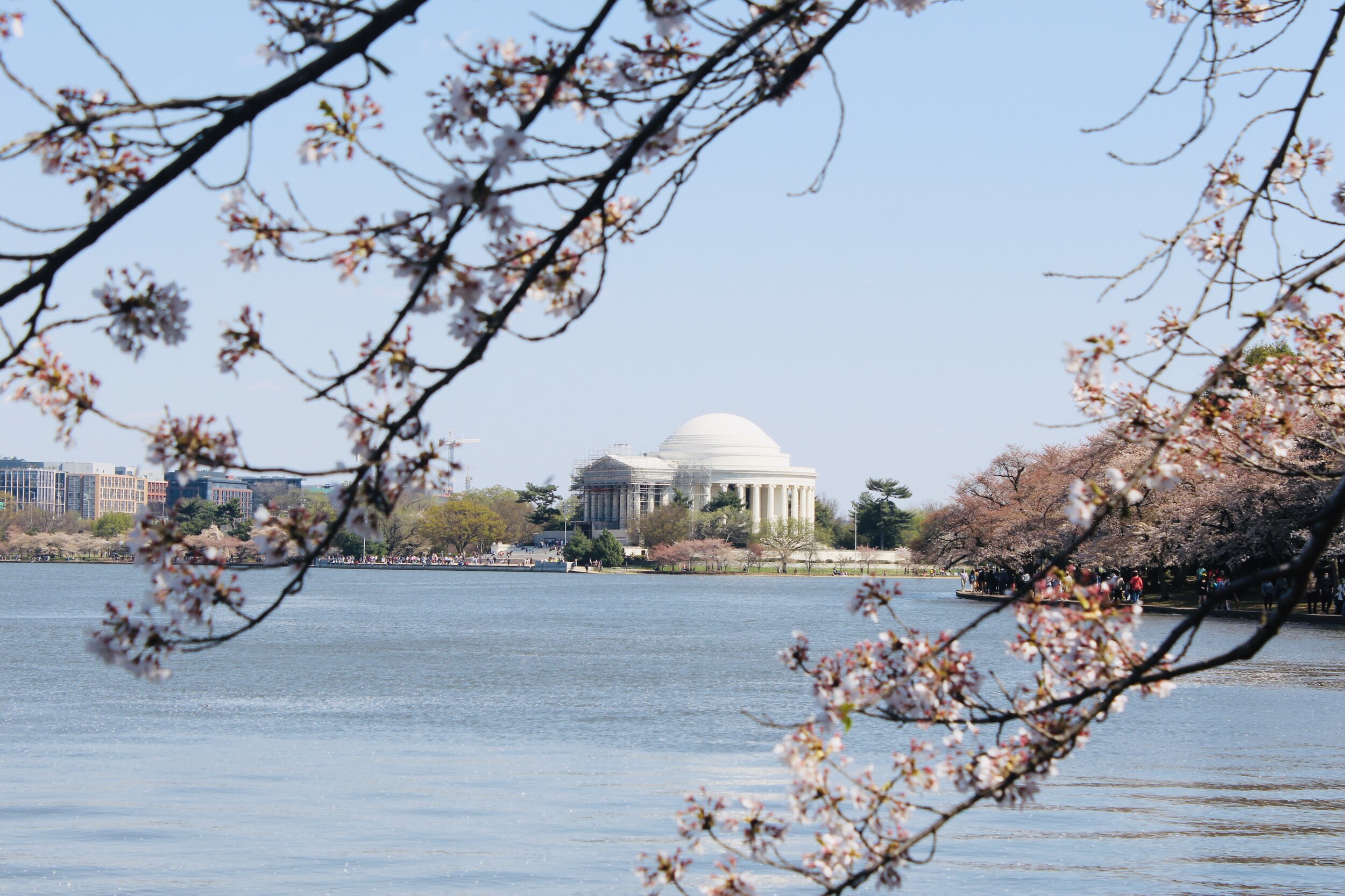 tidal basin 3.jpg