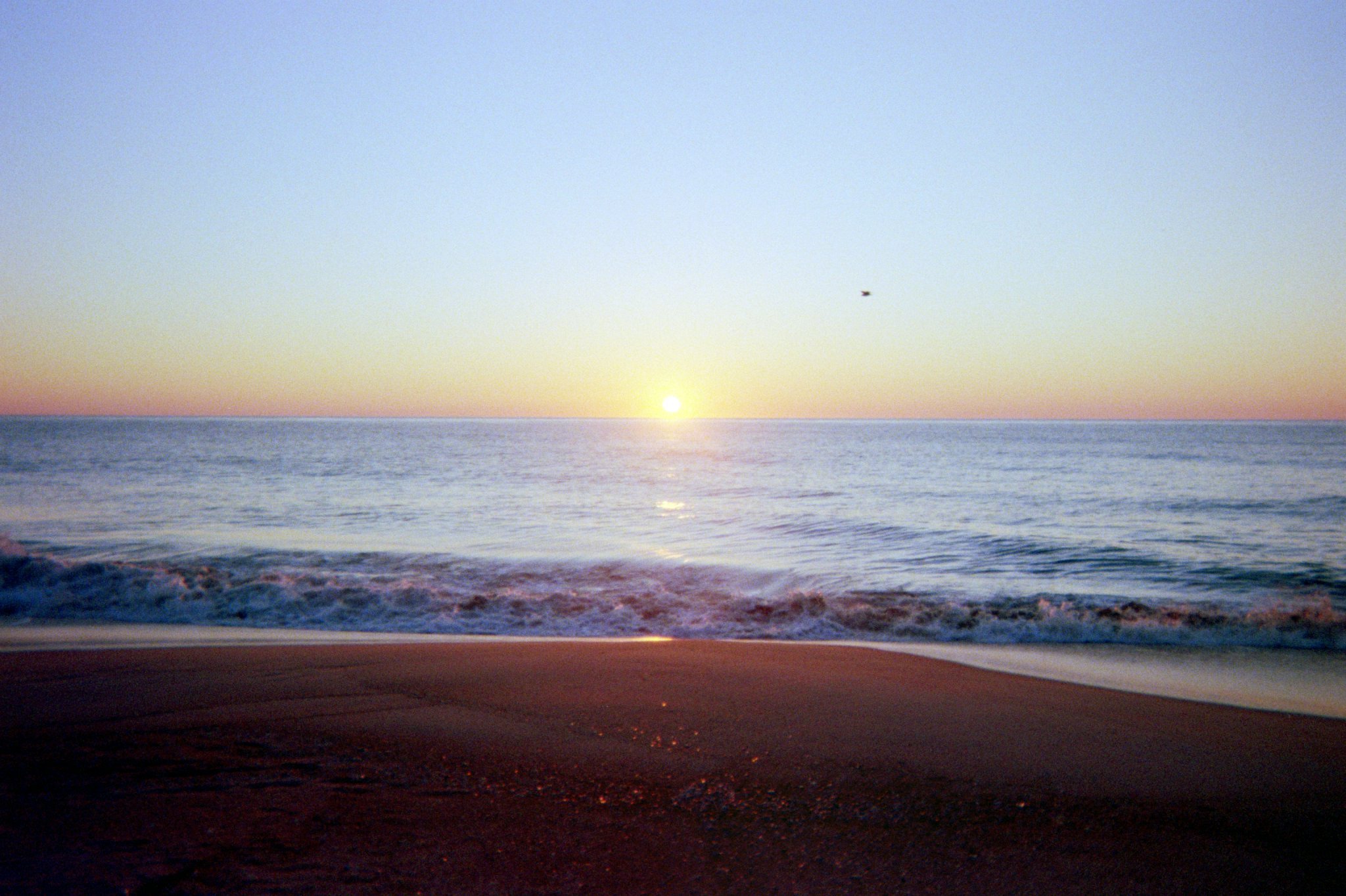 Film Photography