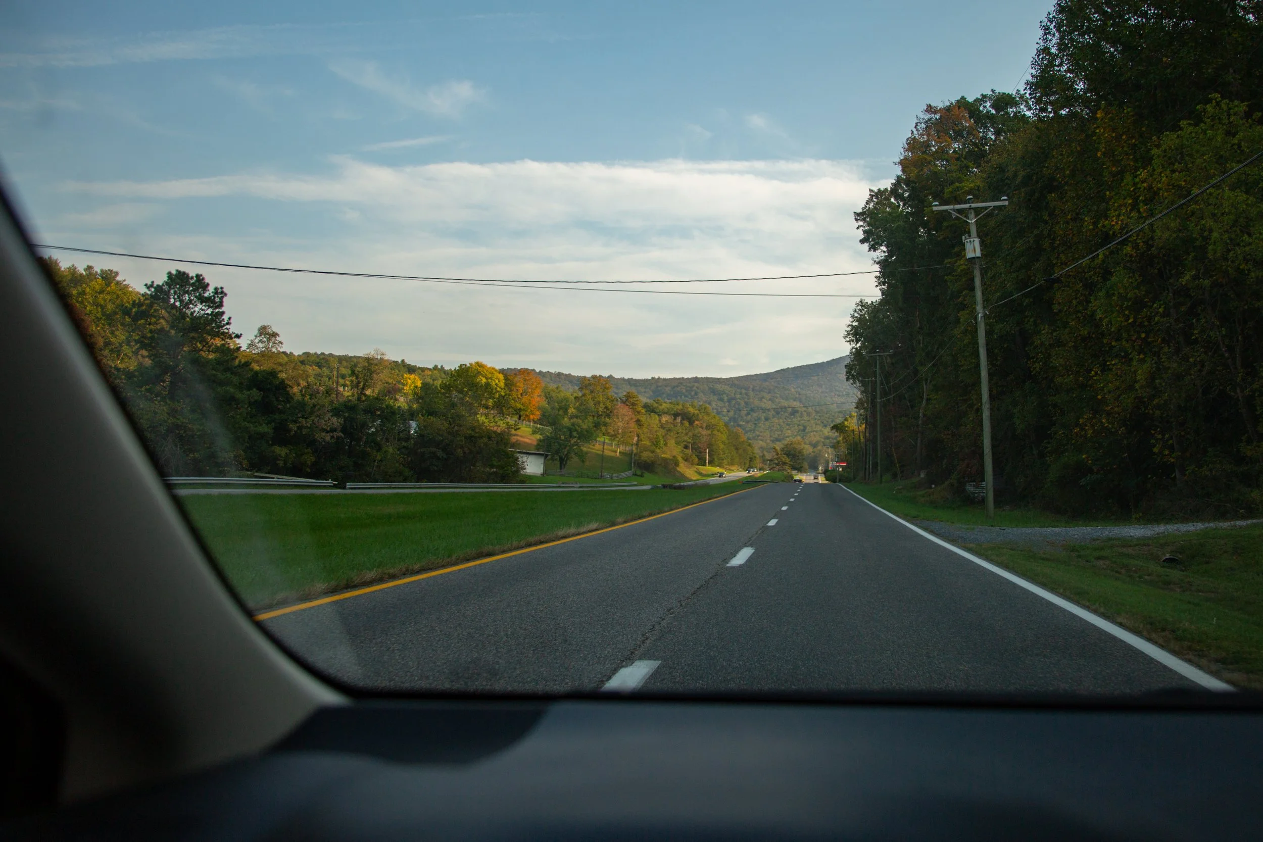 54243011201_3f918a9a53_o.jpg