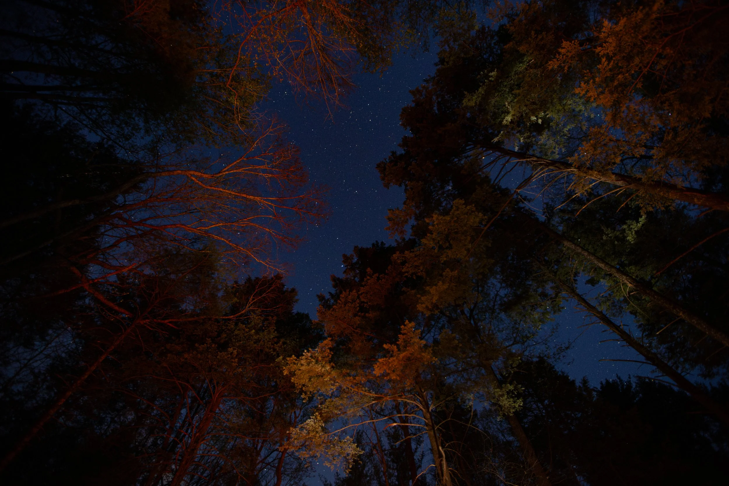 untitled-105-Enhanced-NR.JPG
