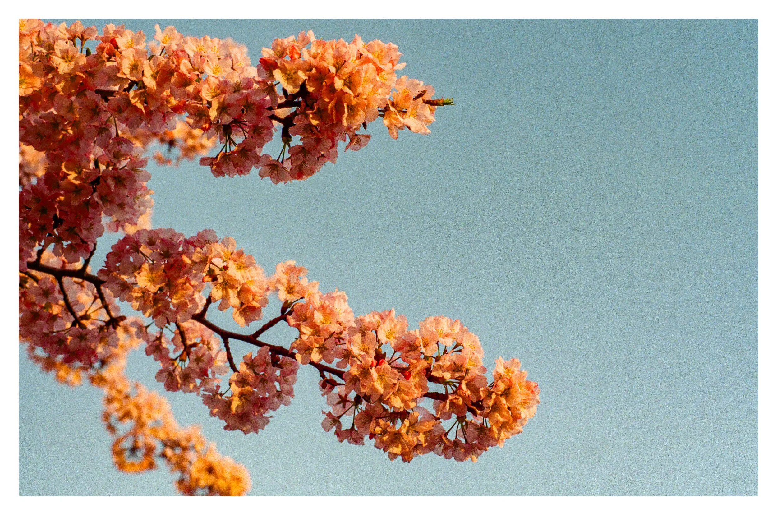 000271150008.jpg