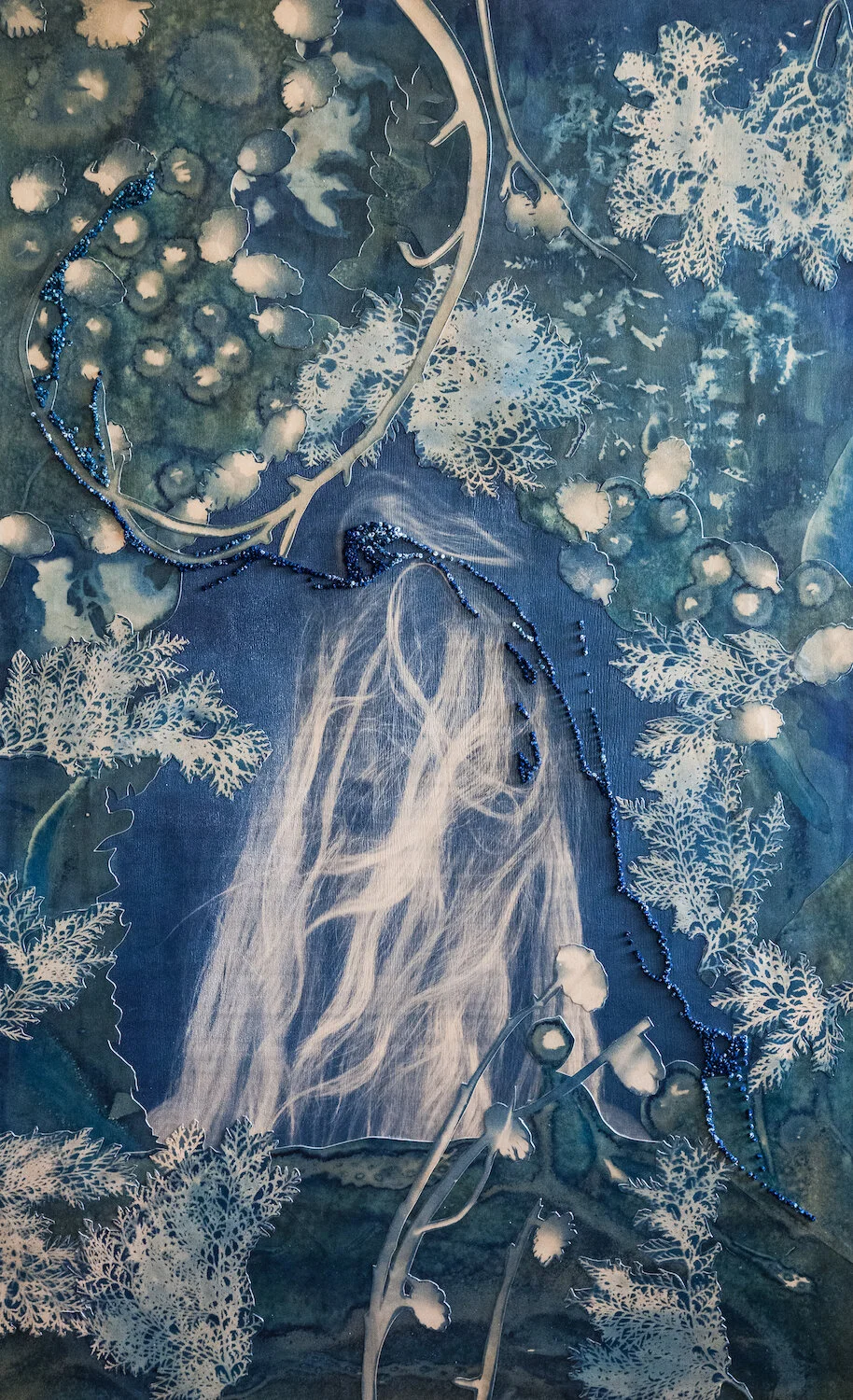 Dukkha (2019), 30” x 48”, cyanotype, paper, cotton thread on canvas