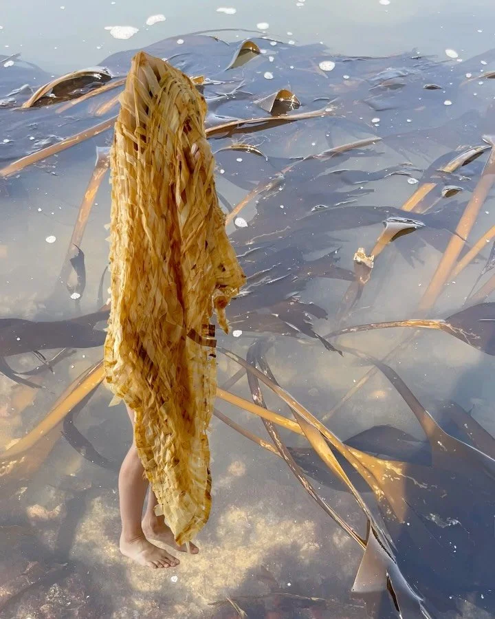 Hi! My name is Kandice Kardell. I am a visual artist with a practice rooted in alternative photographic processes and textile techniques. I often work outdoors with natural materials, creating pieces that are both shaped by and responsive to elementa