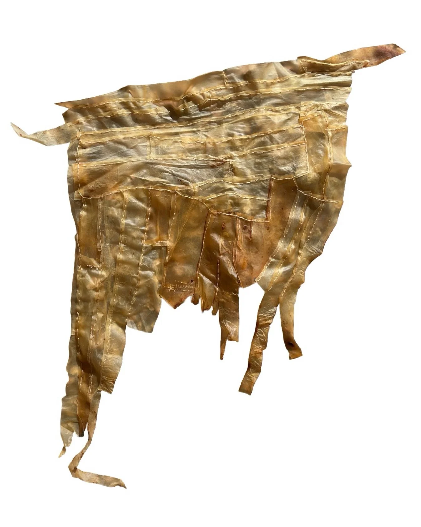 Leftover bits of algae hand sewn together with cotton thread. Something that really excites me right now is making works of art that can be both long lasting and biodegradable, depending on its care/environment. (No, it doesn&rsquo;t smell).