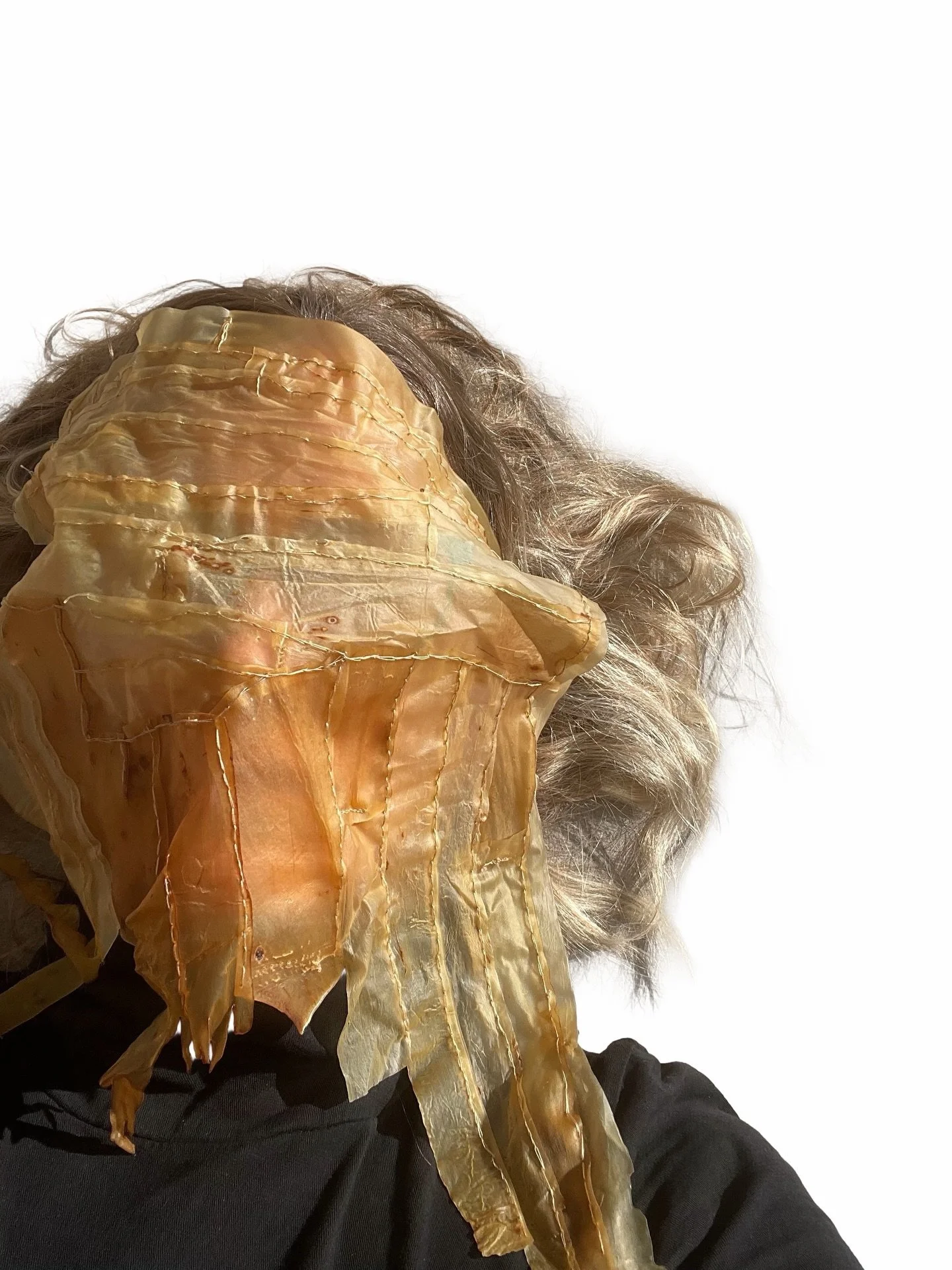 Later this summer, I will have another opportunity to share my work with the public in Porto. I am imagining participatory elements or events. Is there something that makes you curious about my work with algae? Is there something you are curious to s