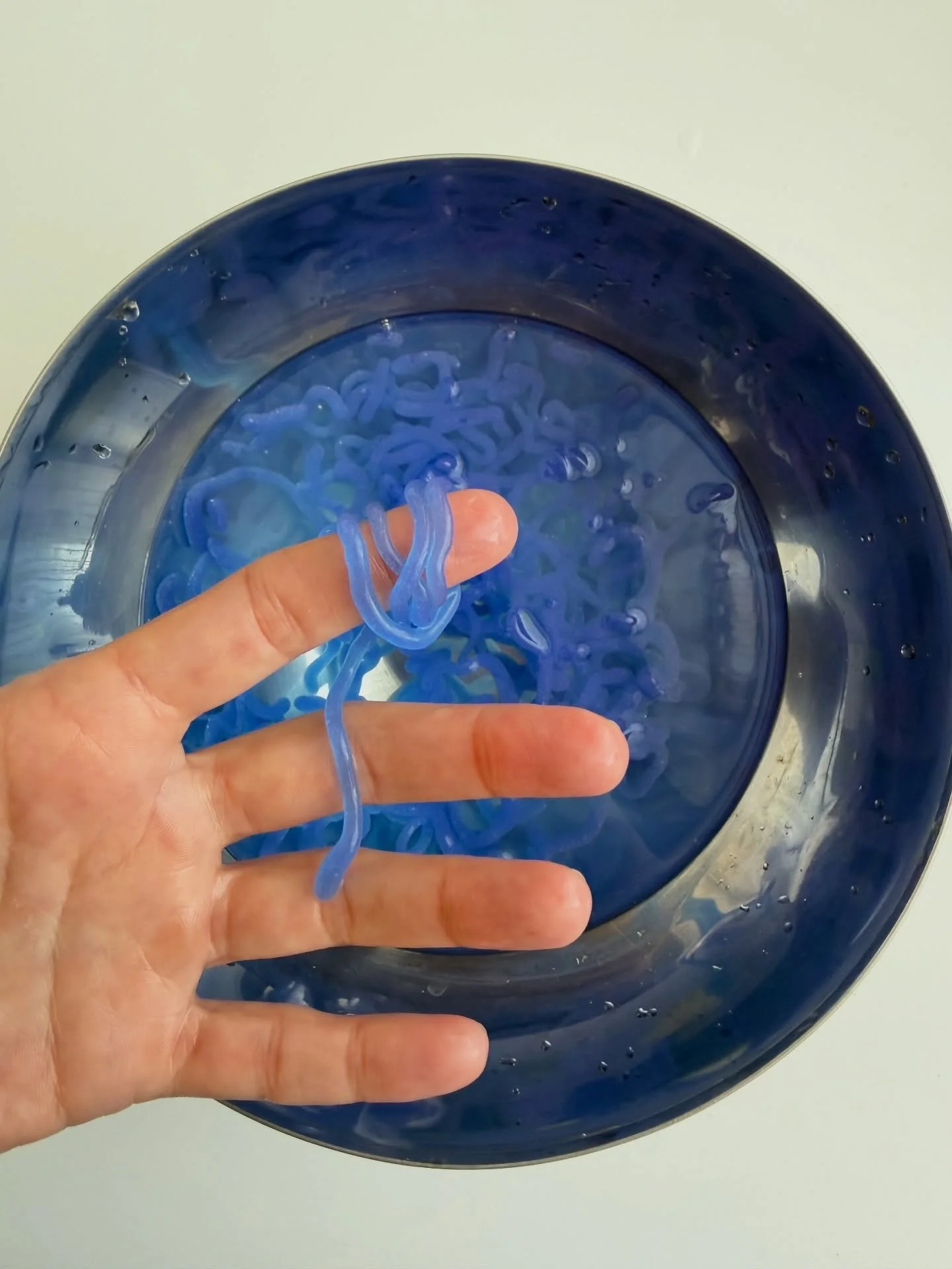 Here I go, experimenting with something new&mdash;BIO YARN! 

#biomaterial #biodegradable #futurematerials #algae #morethanhuman