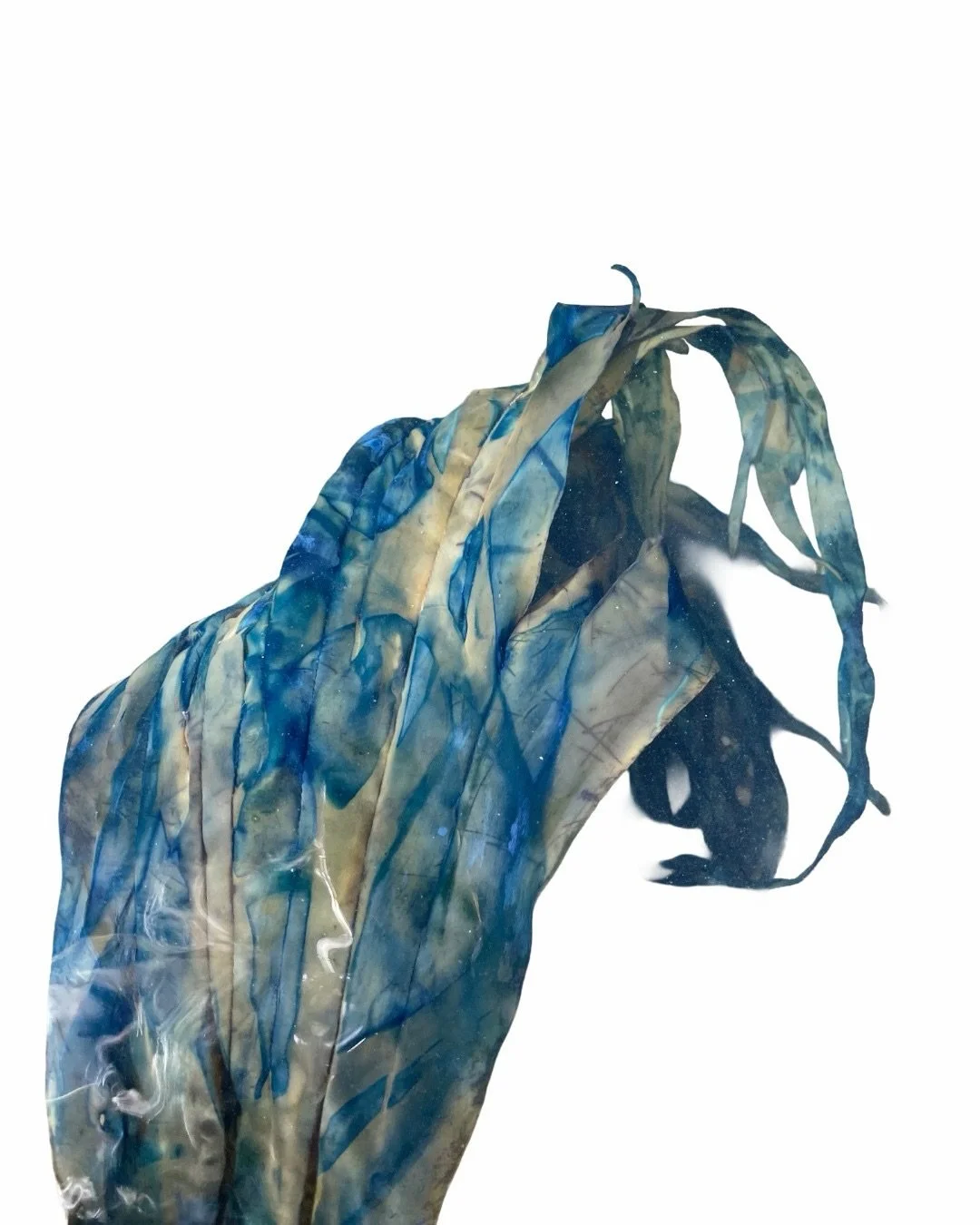 Biomaterial workshops coming soon to Porto and online (hello, Arizona)! Are you interested in learning more? Sign up for my newsletter through the link in my bio!

#biomaterials #artistworkshops #biomaterialworkshops #bioplastic #cyanotype