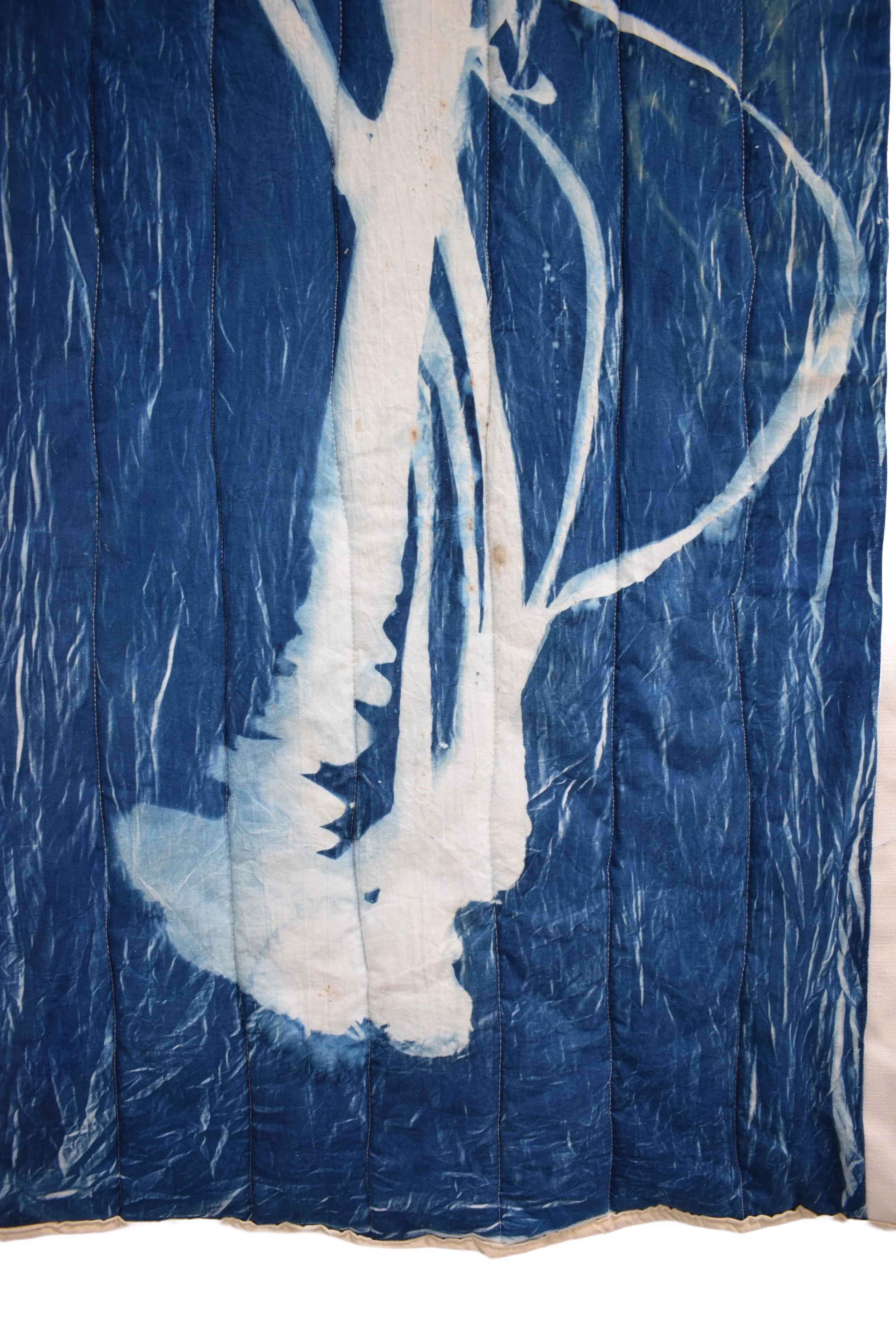 Remove background project-2.jpeg