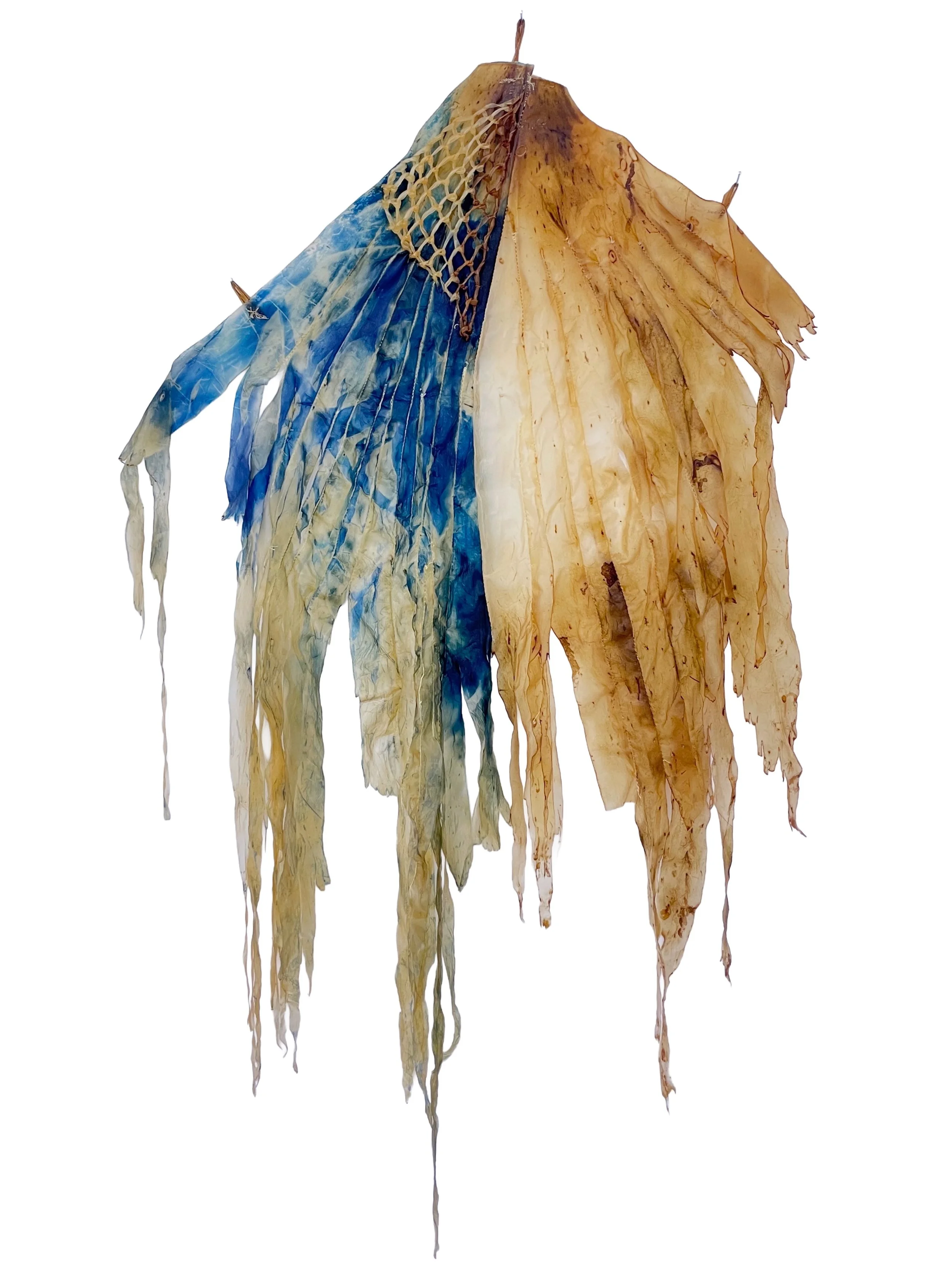 Mapping Change (2025), 60 x 70 cm (variable), foraged algae, cyanotype, cotton thread