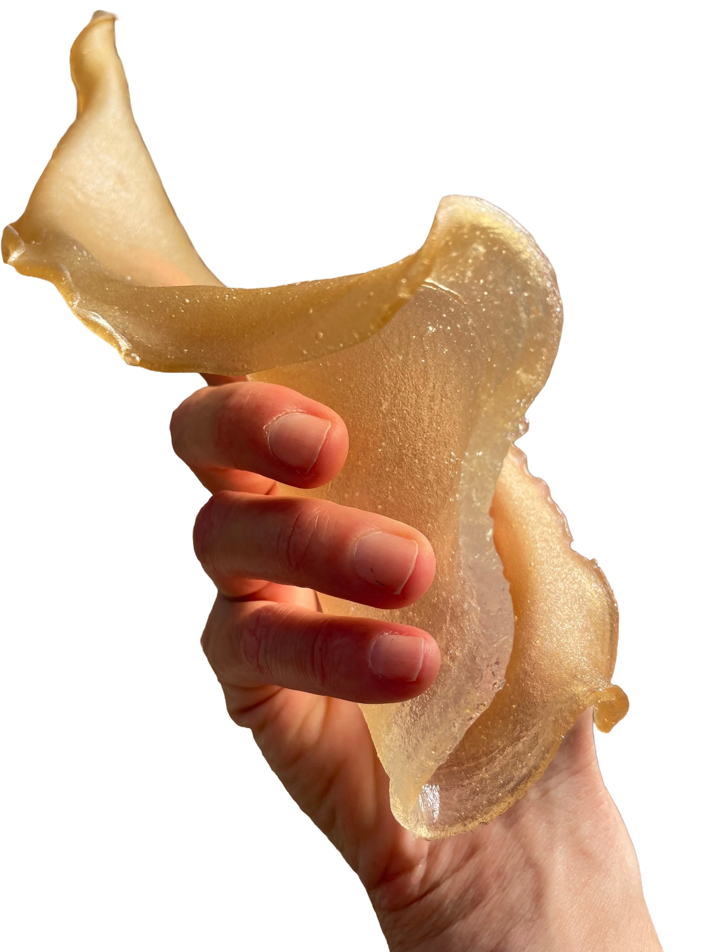 Remove background project.JPEG