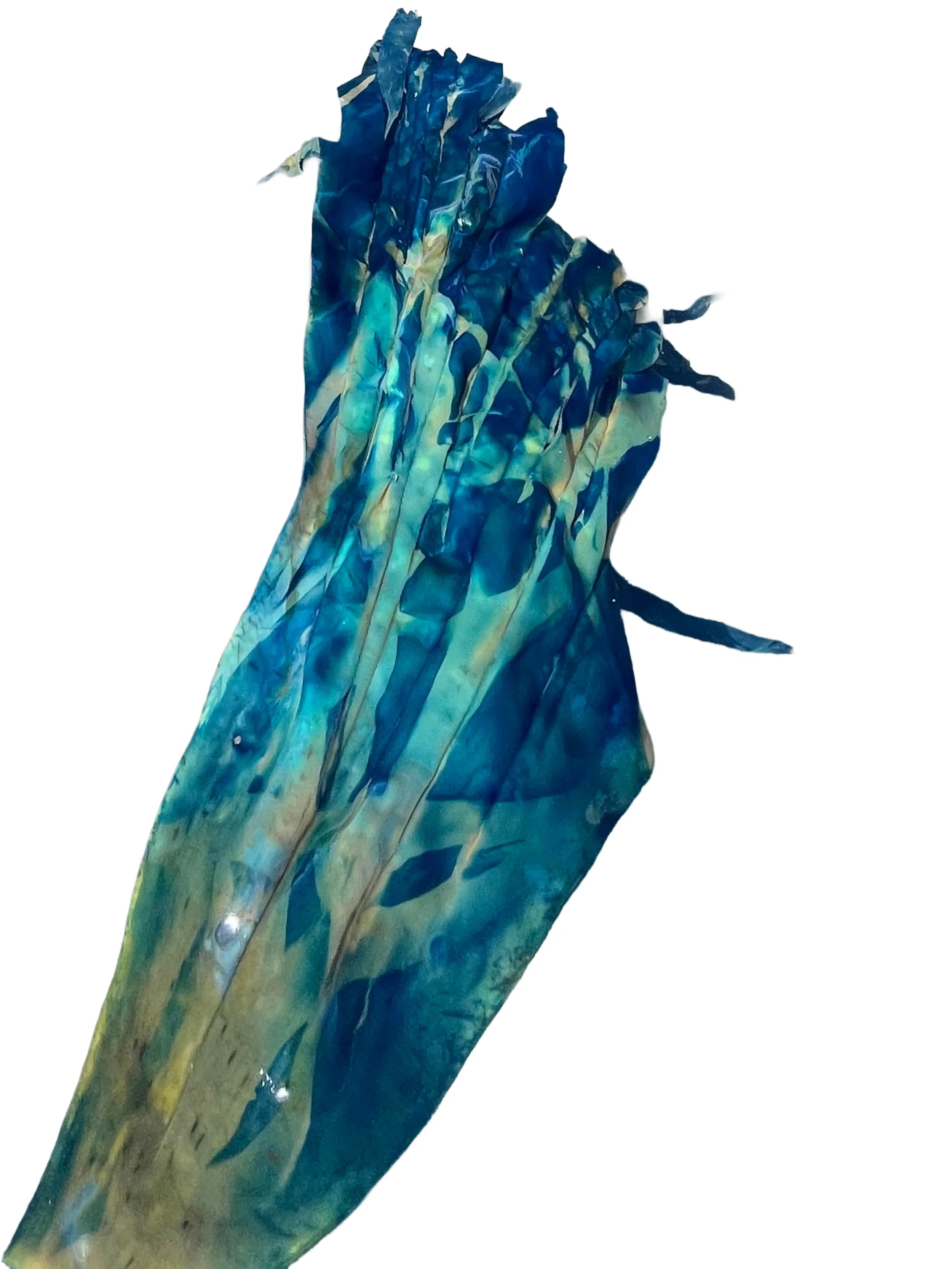 Remove background project.JPEG