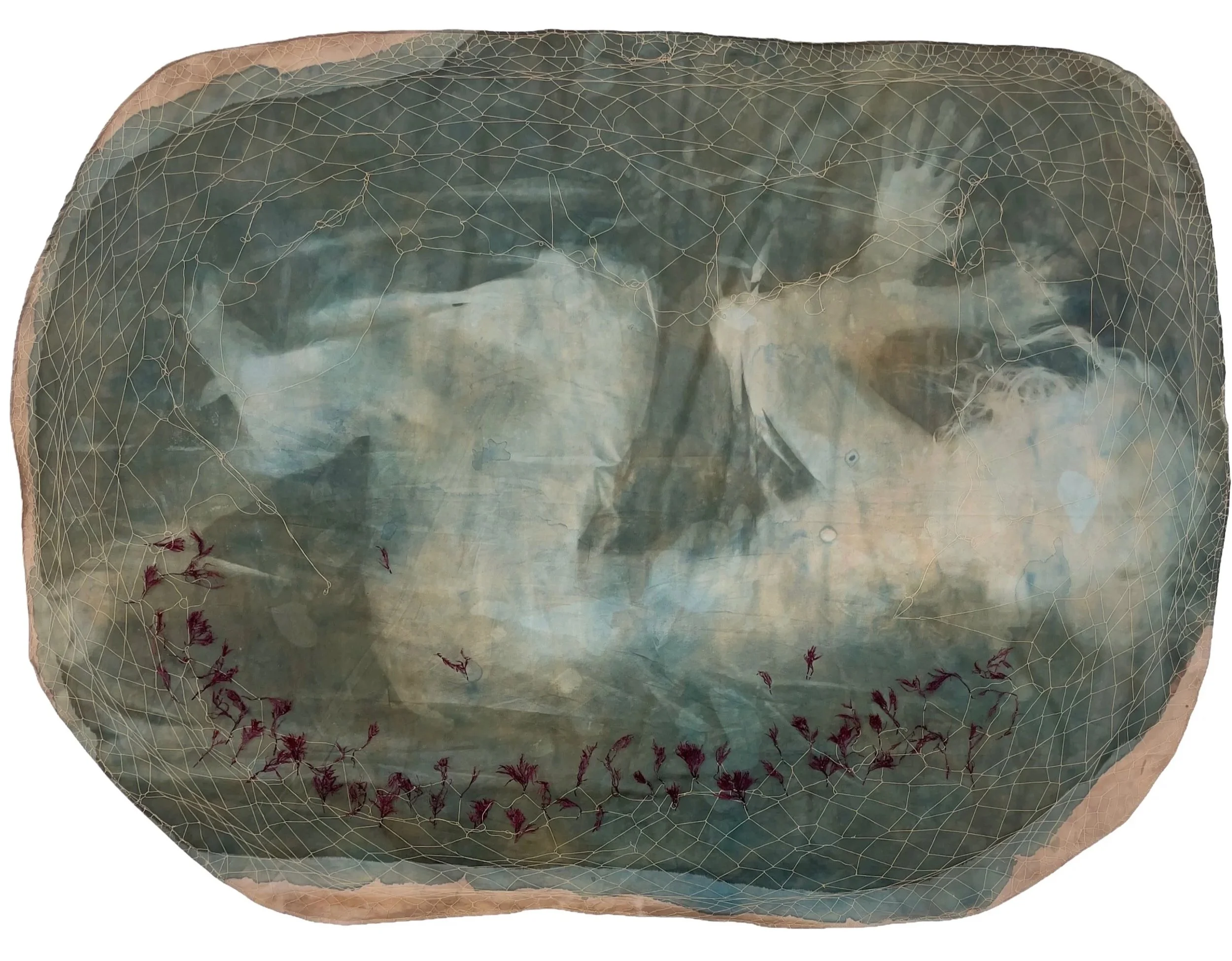 Fading (2025), 146 x 106 cm, cyanotype, reclaimed cotton sheets, cotton thread, foraged algae, natural dye